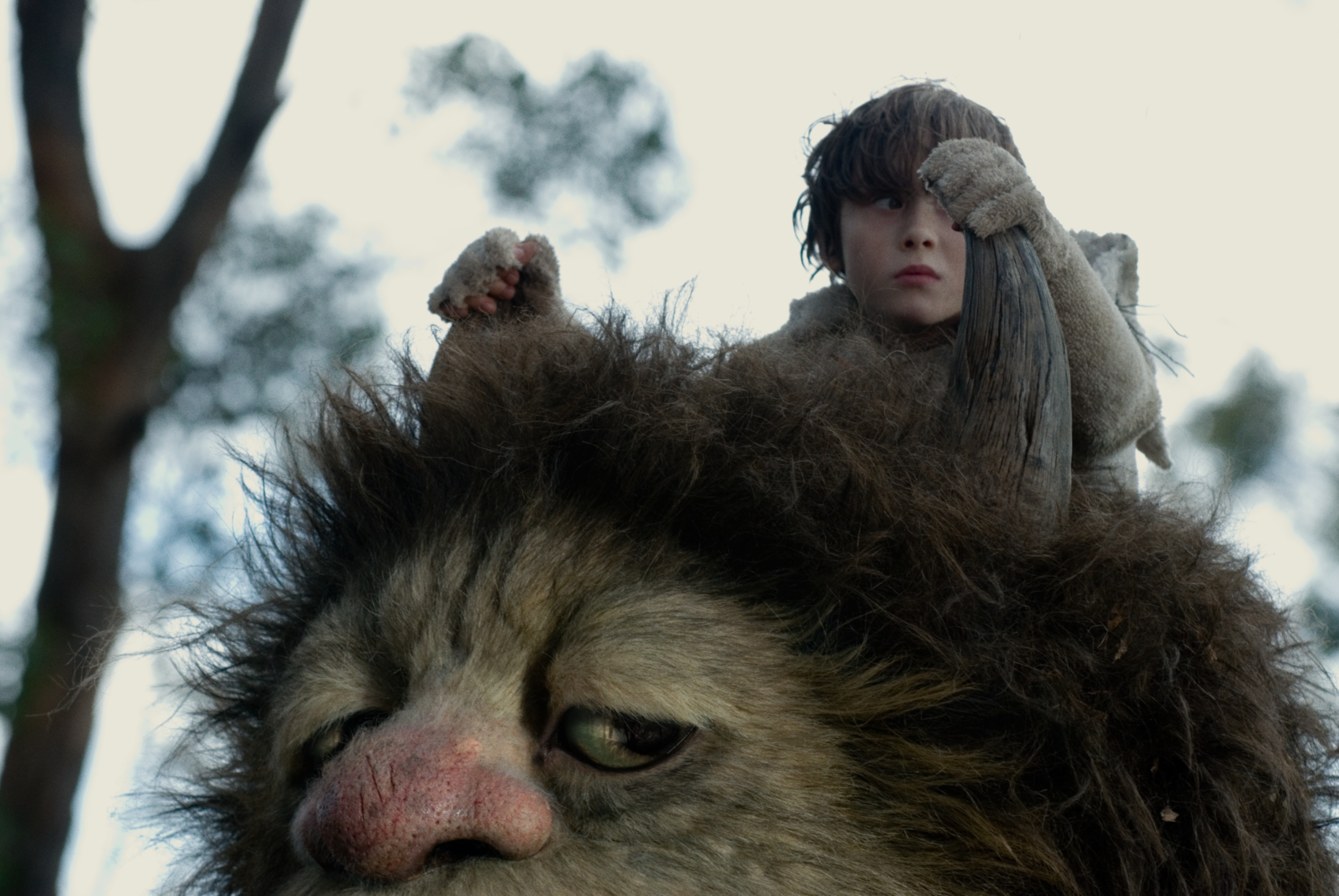 Movie Where The Wild Things Are 3508x2348