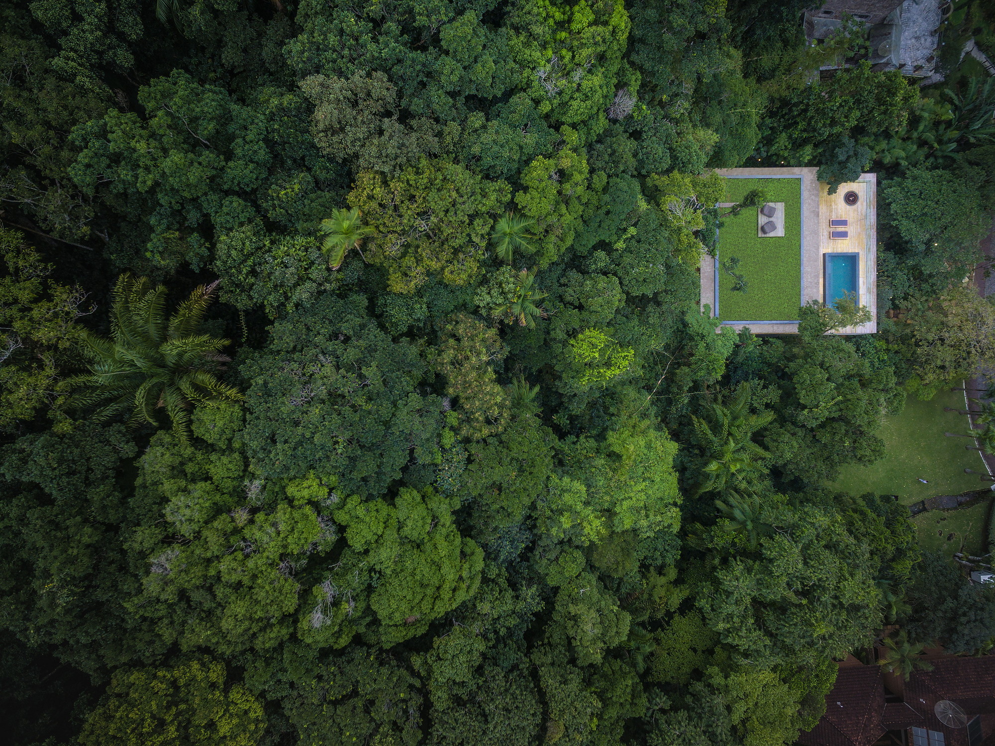 Trees Forest Swimming Pool Jungle Rainforest House Rooftops Palm Trees Grass Brasil Modern Drone Pho 2000x1499