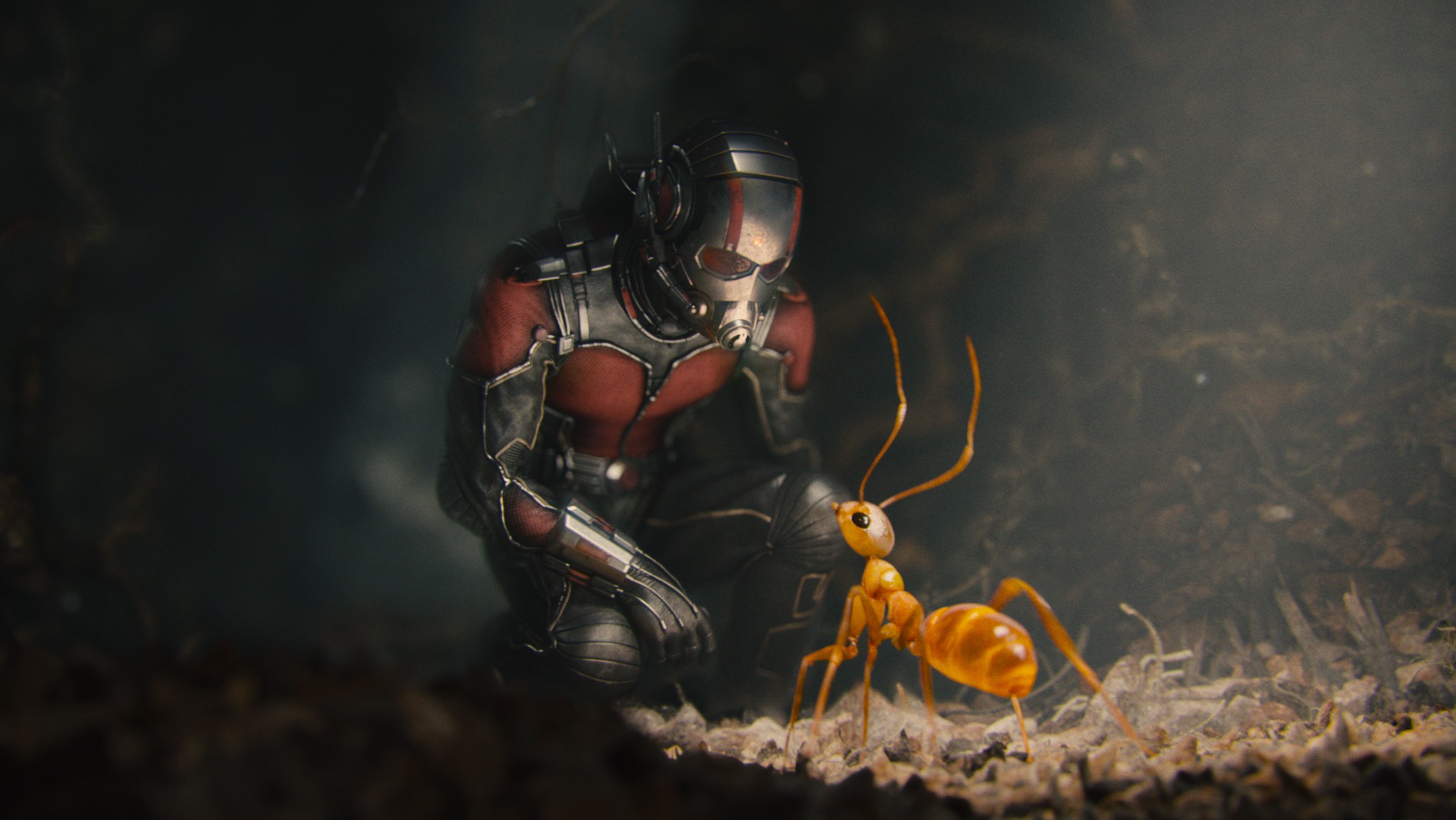 Ant Man Fantasy Art Movies Ants 2160x1216