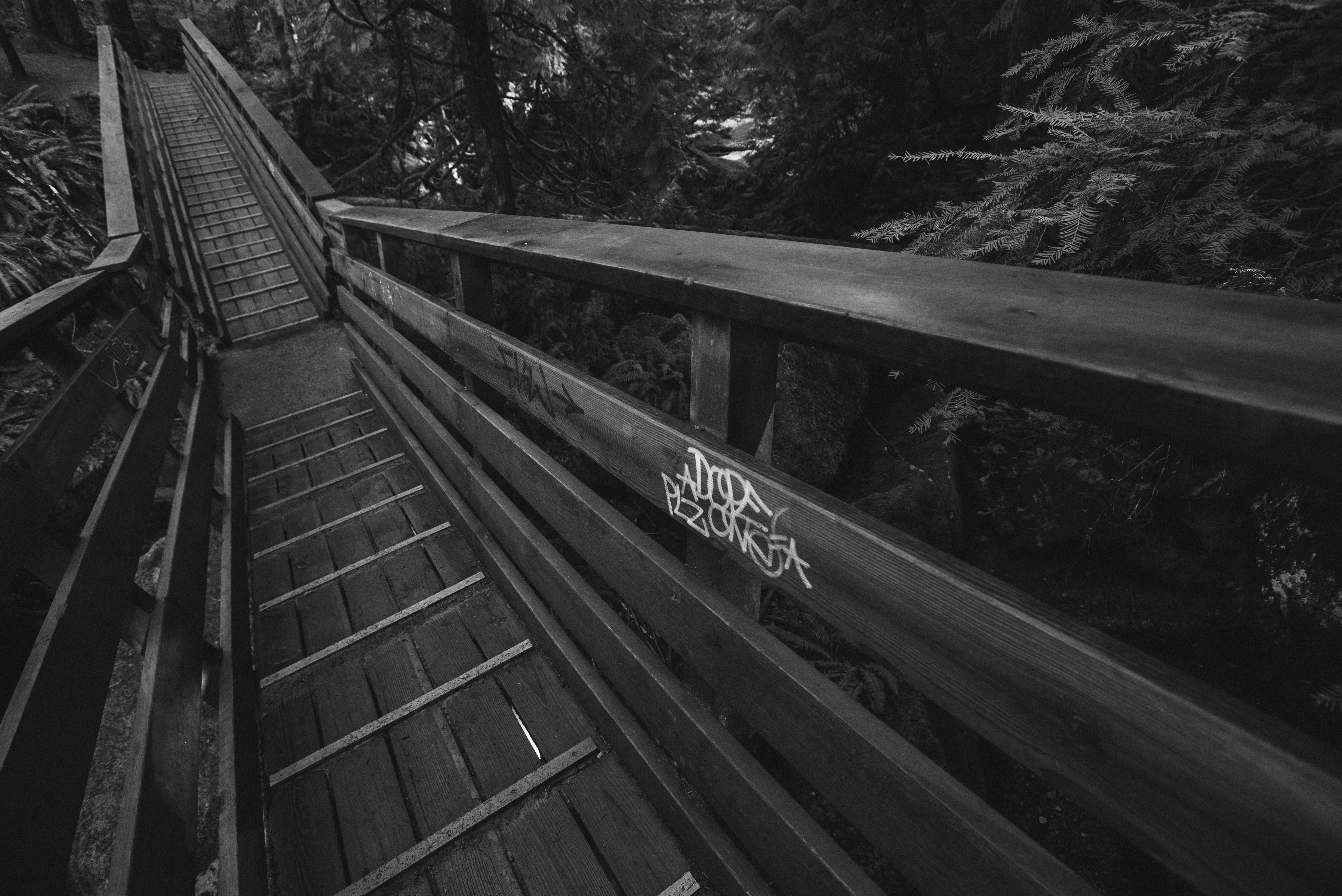 Monochrome Stairs Forest Wood Bridge 6016x4016