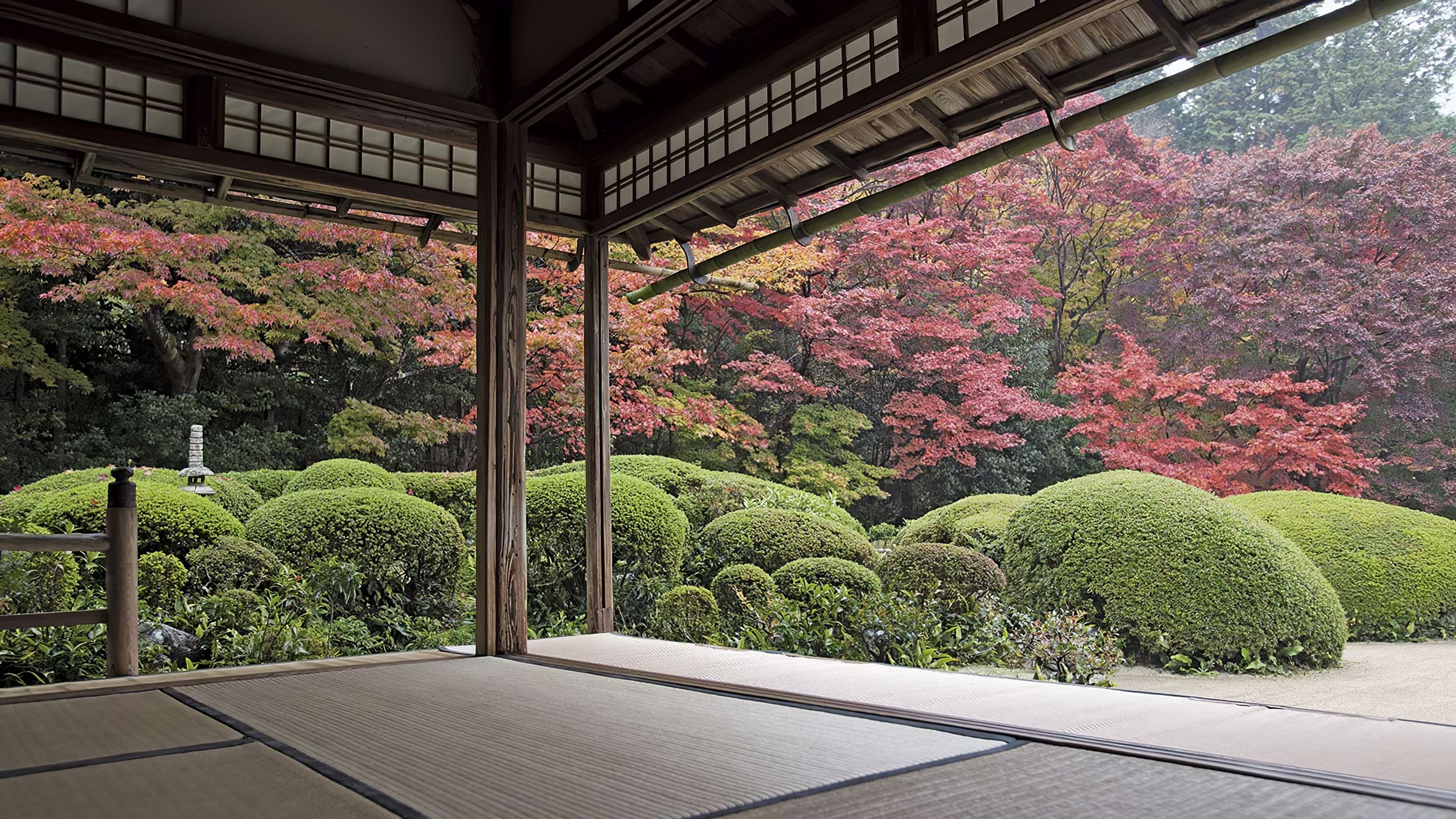 Japan Garden Trees Courtyard Zen Garden 2560x1440