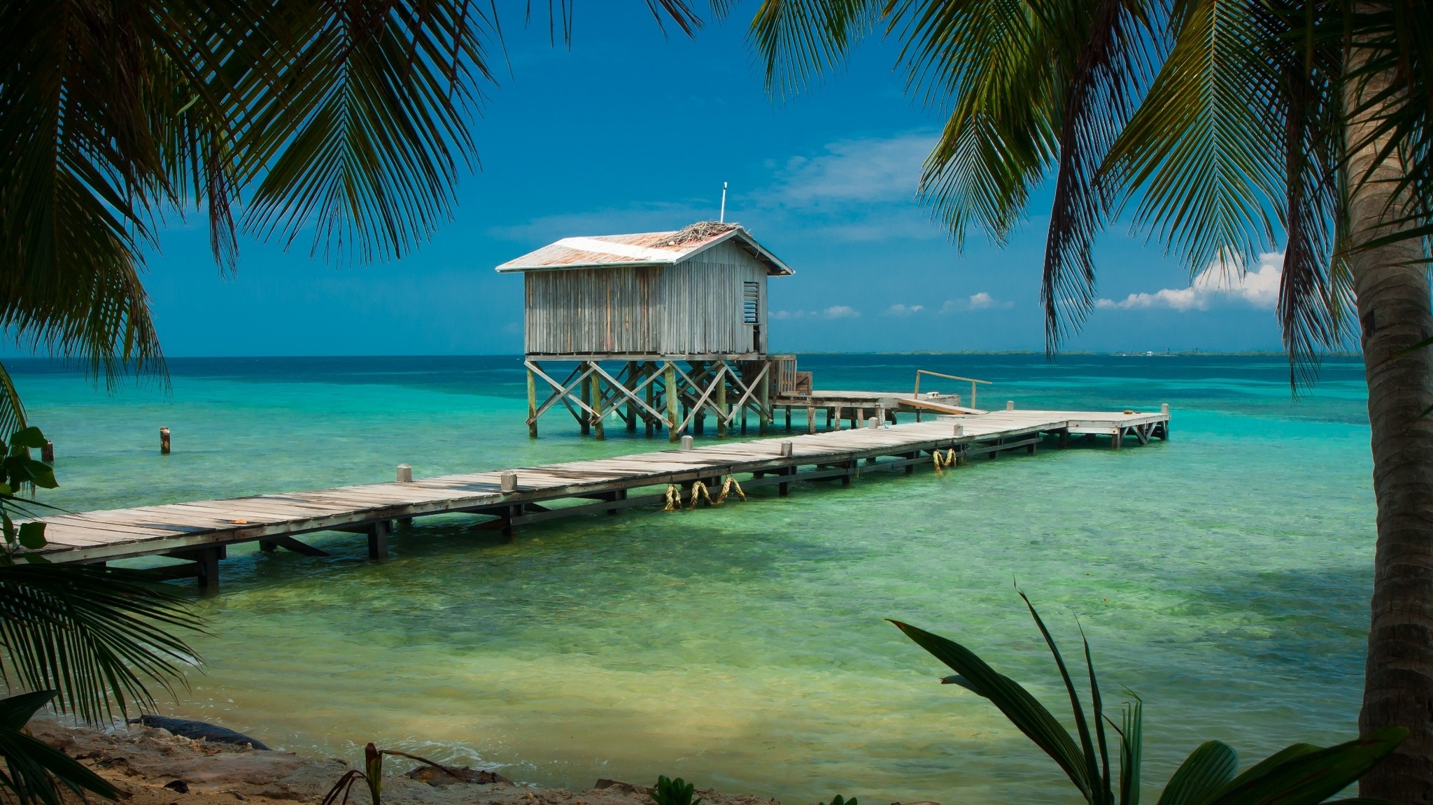 Nature Landscape Beach Tropical Sea Palm Trees Dock Wooden Surface Cabin Turquoise Water Belize Barc 2048x1151