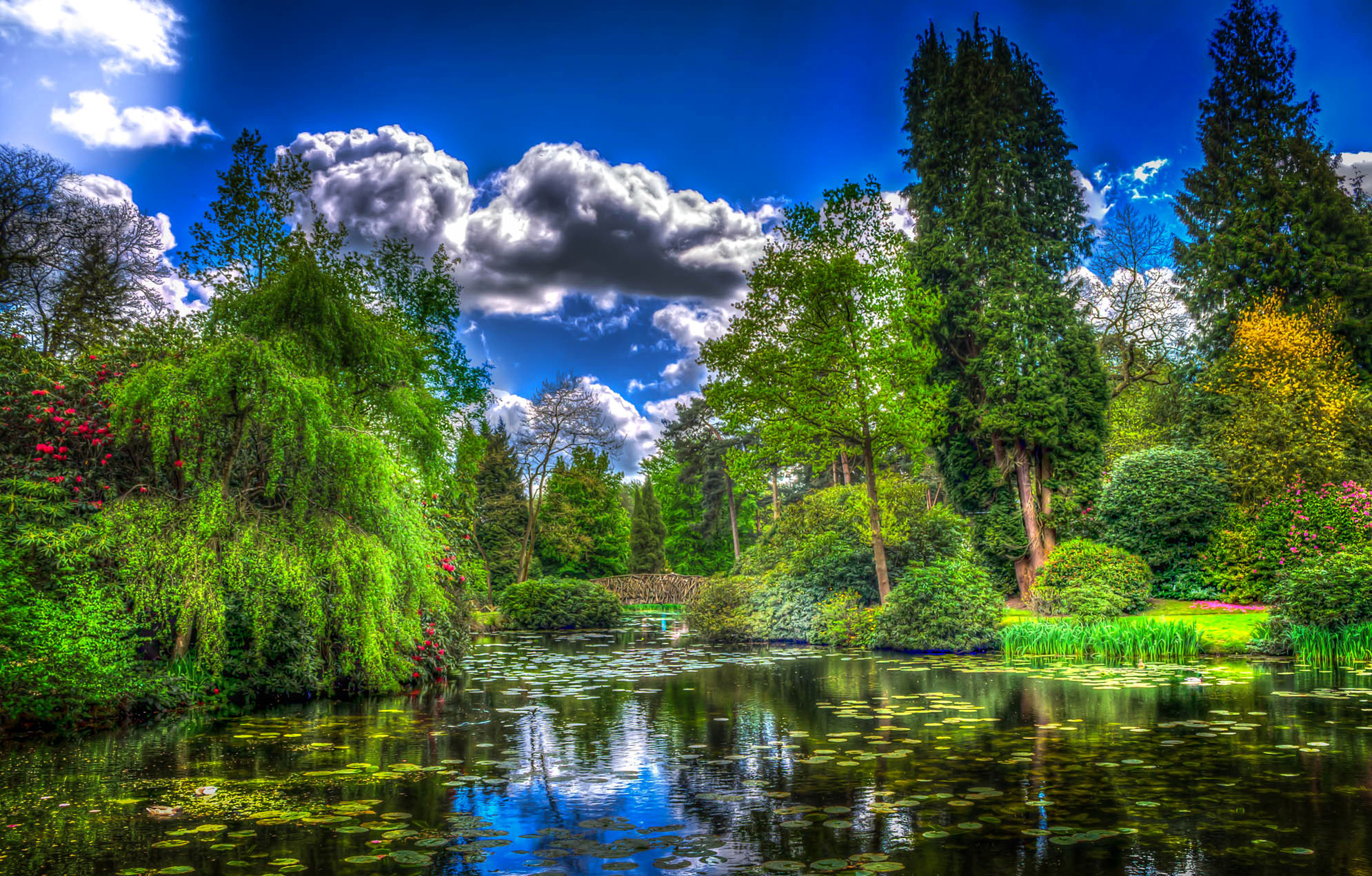 HDR Park England Green Pond Lily Pad Tree 1990x1271