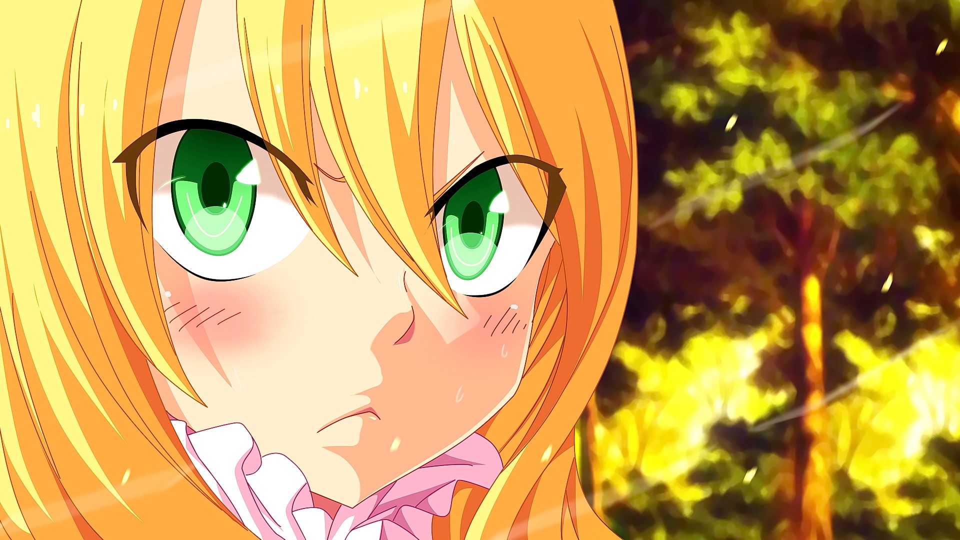Anime Anime Girls Mavis Vermilion Fairy Tail Green Eyes Blonde Long Hair Forest Looking At Viewer 1920x1080