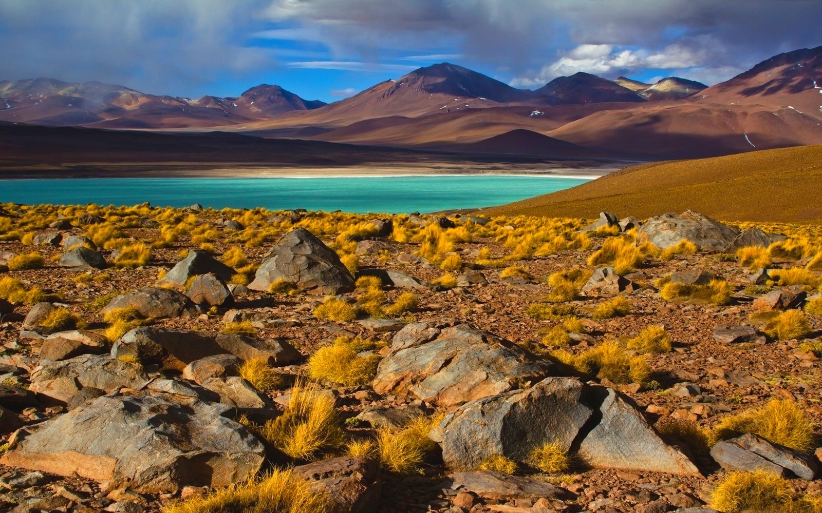Nature Landscape Photography Lake Shrubs Mountains Atacama Desert Chile 1600x1000