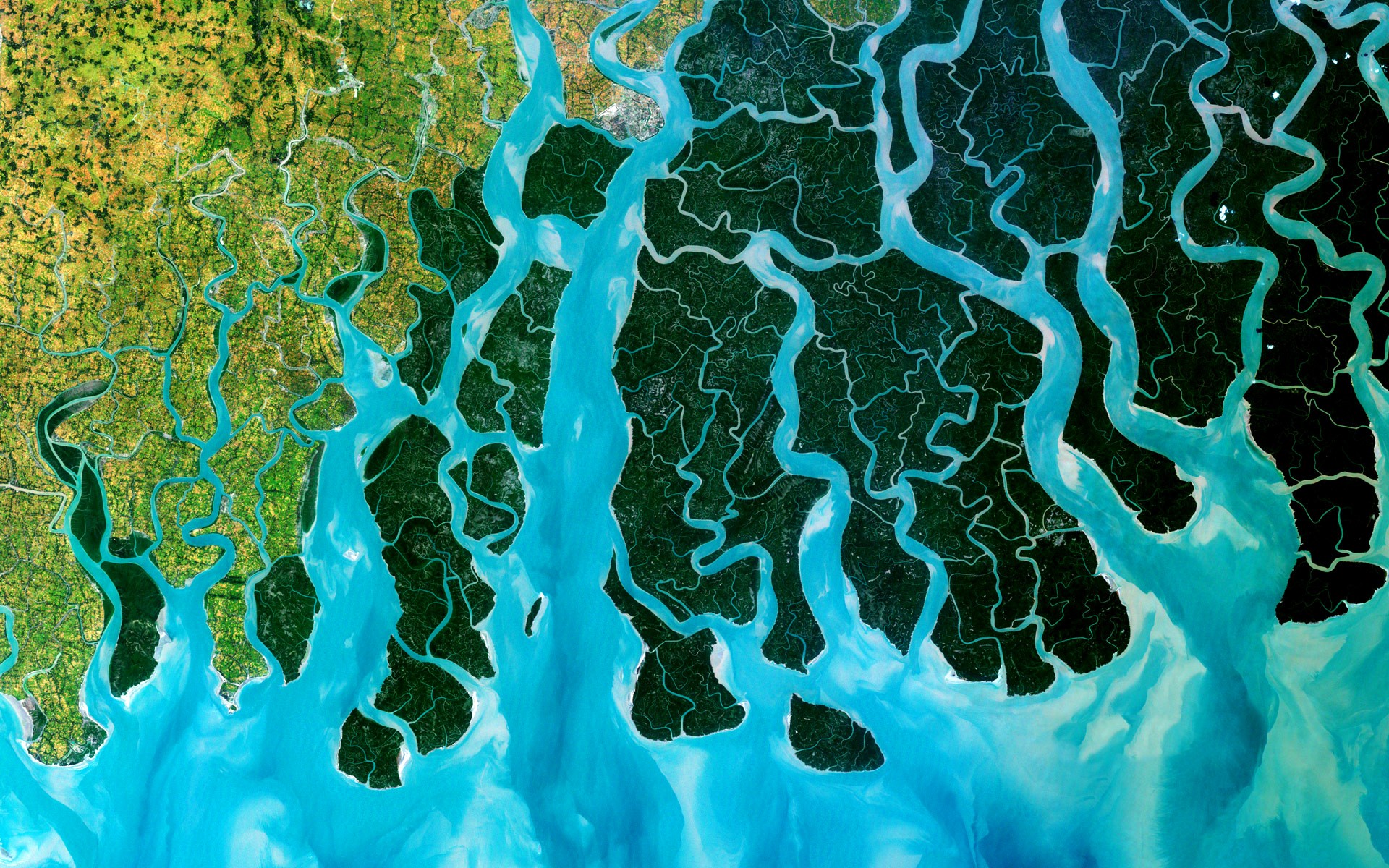 Aerial View Nature Bangladesh River Water Landscape Green Cyan 1920x1200