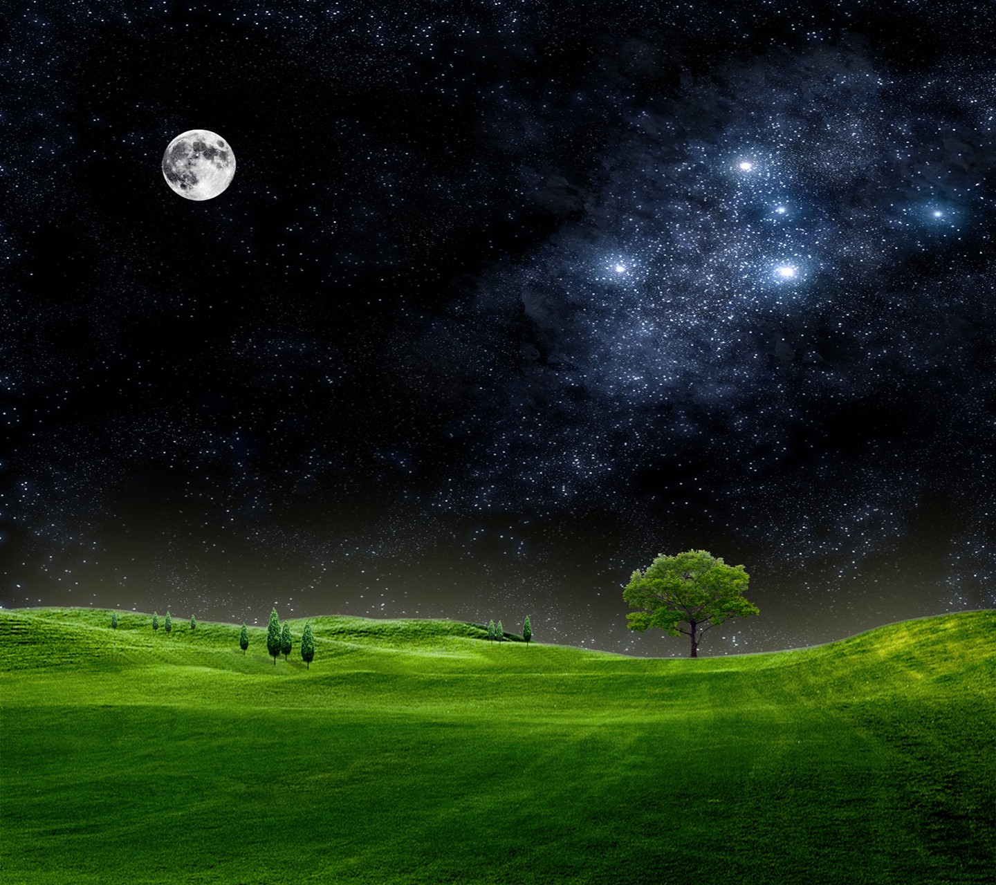 Field Night Sky Trees Moon 1440x1280