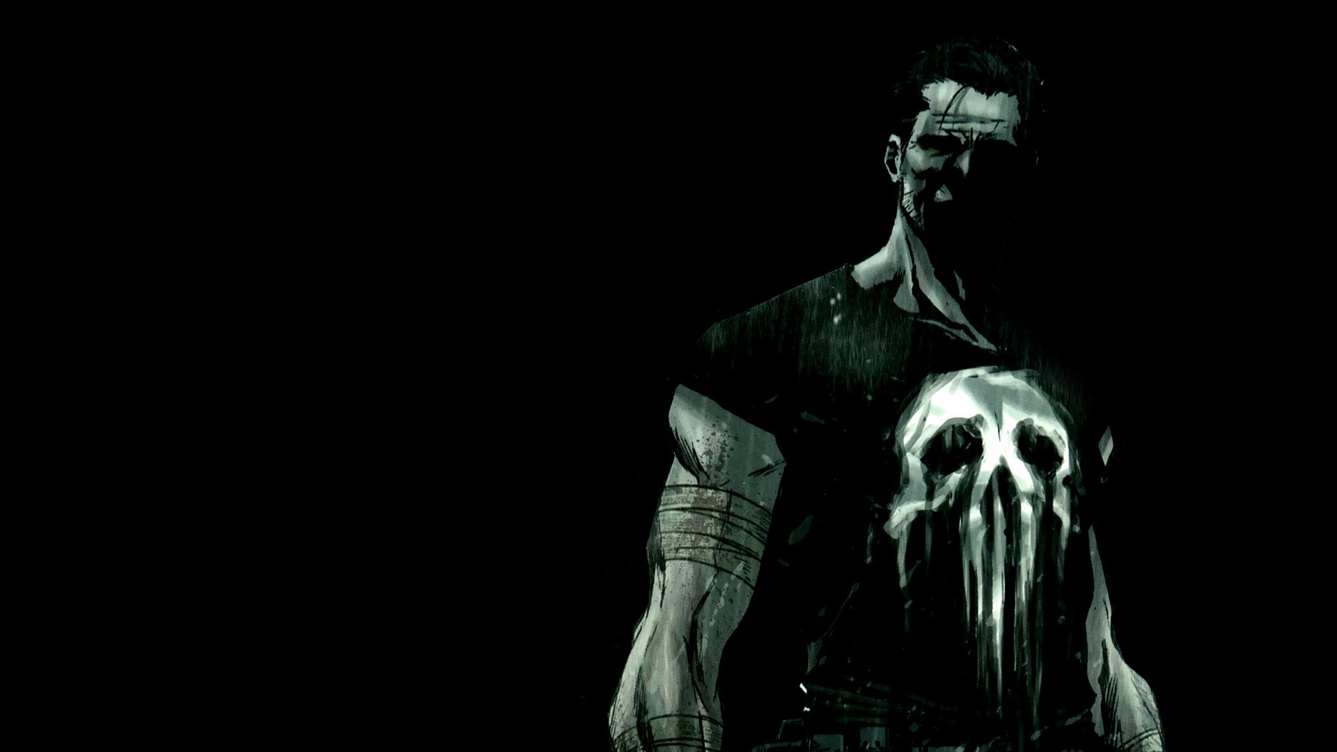 The Punisher Frank Castle Marvel Comics 1920x1080