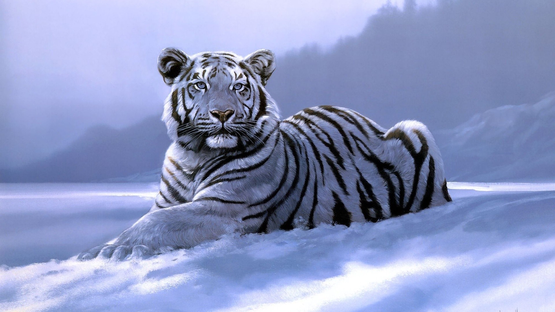 Animals Tiger Artwork White Tigers 1920x1080