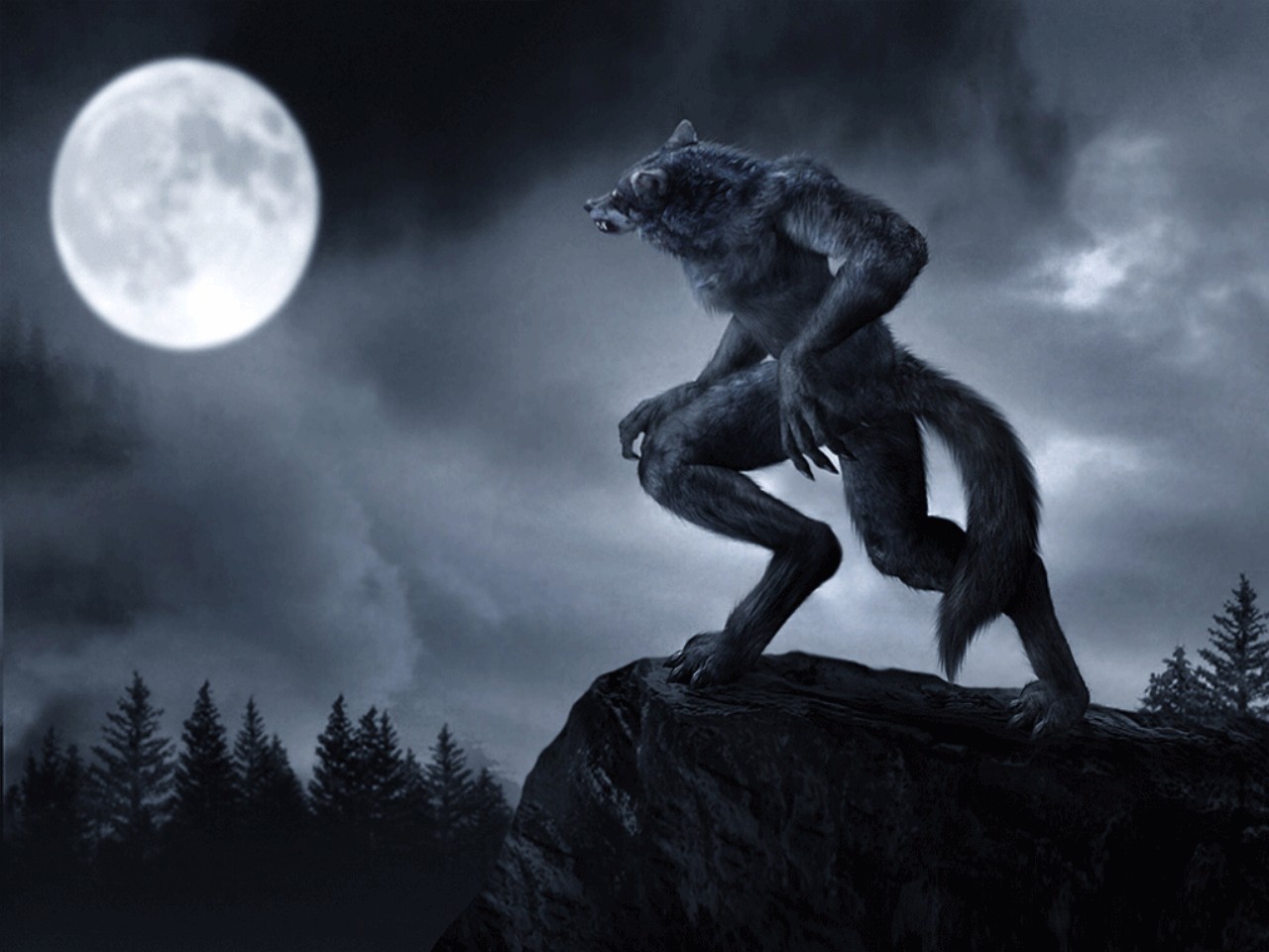 Werewolves Creature Moon Fantasy Art 1280x960