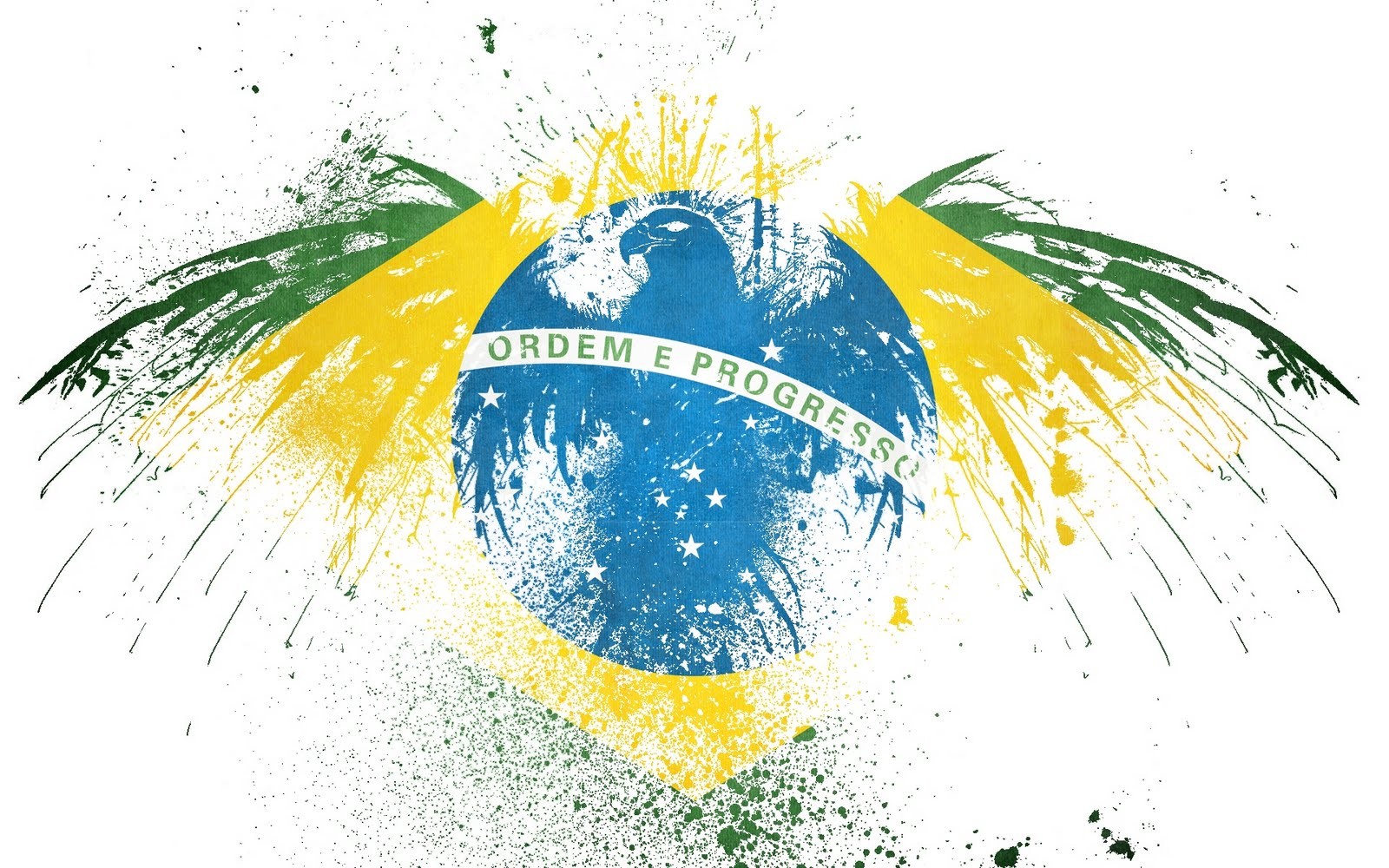 Brasil Brazil Flag 1600x1000