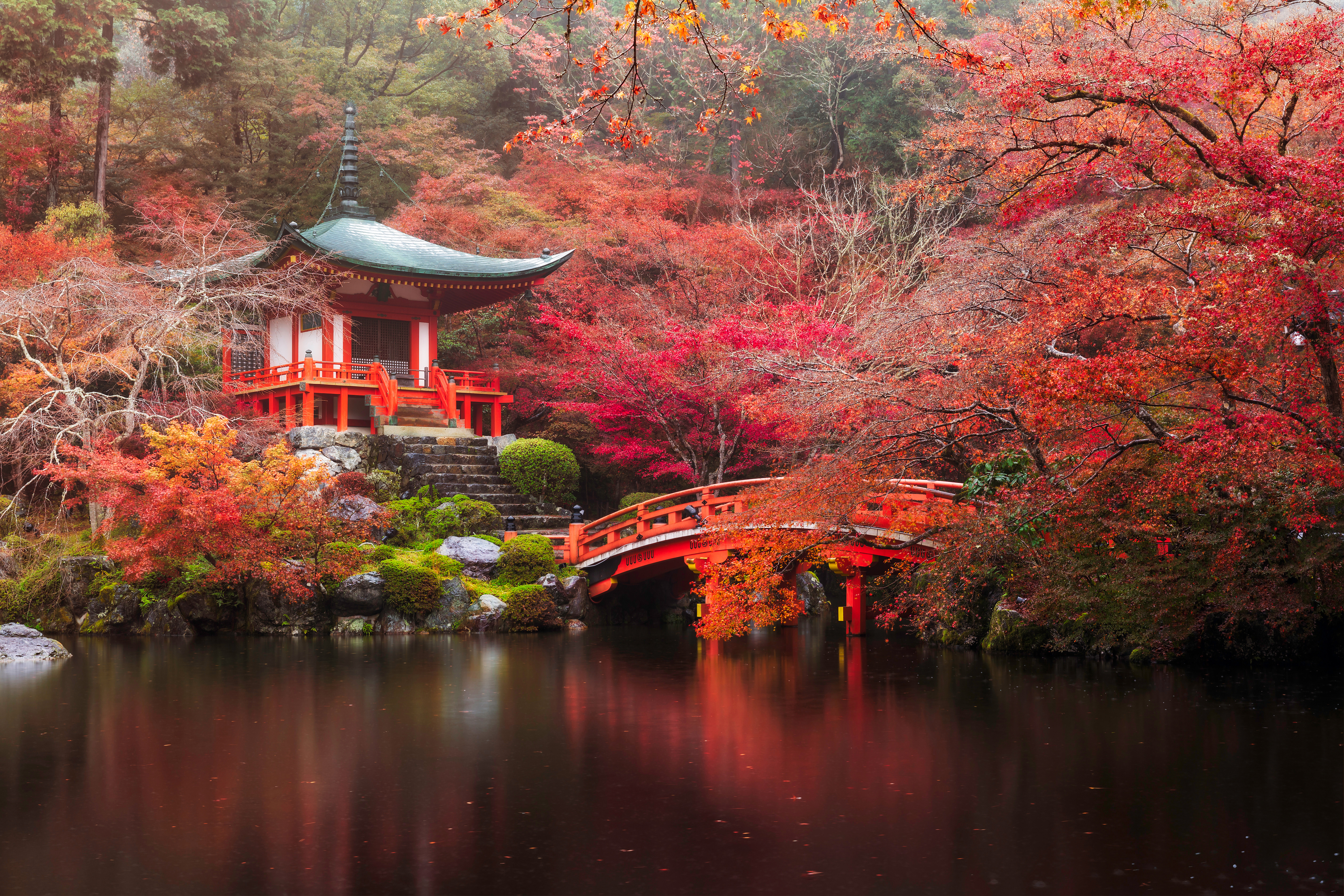 Japan Fall Park Pagoda Bridge Pond Kyoto Tree Nature 5703x3802