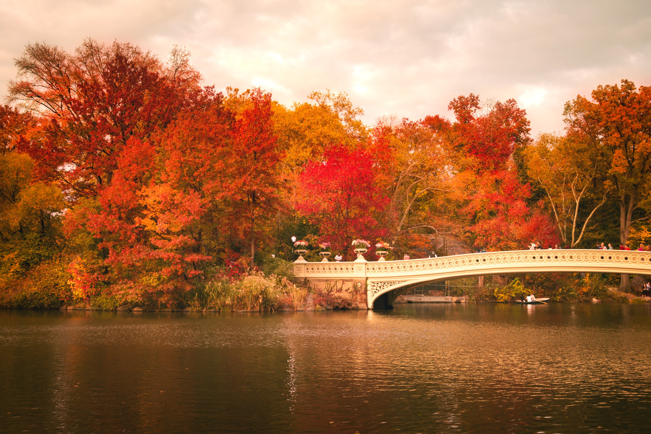 Bridge Fall River Foliage Central Park 2248x1499