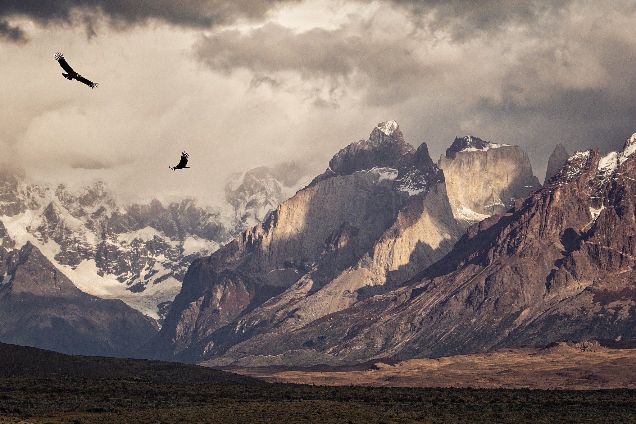 Nature Photography Landscape Birds Condors Flying Mountains Snowy Peak Morning Sunlight Torres Del P 2048x1365
