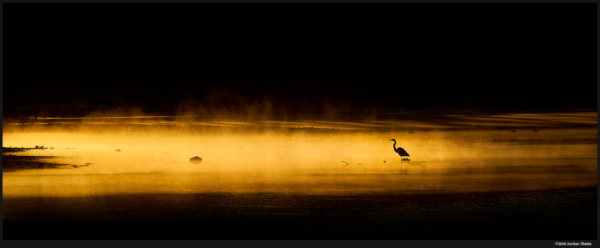 Birds Nature Cranes Bird Silhouette 1932x800