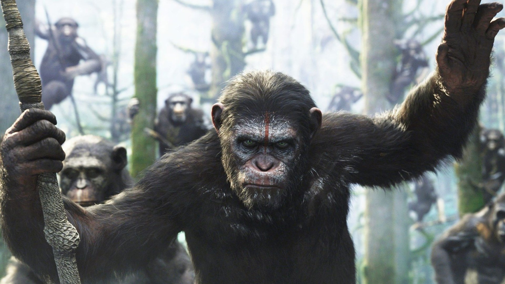 Movie Dawn Of The Planet Of The Apes 1920x1080