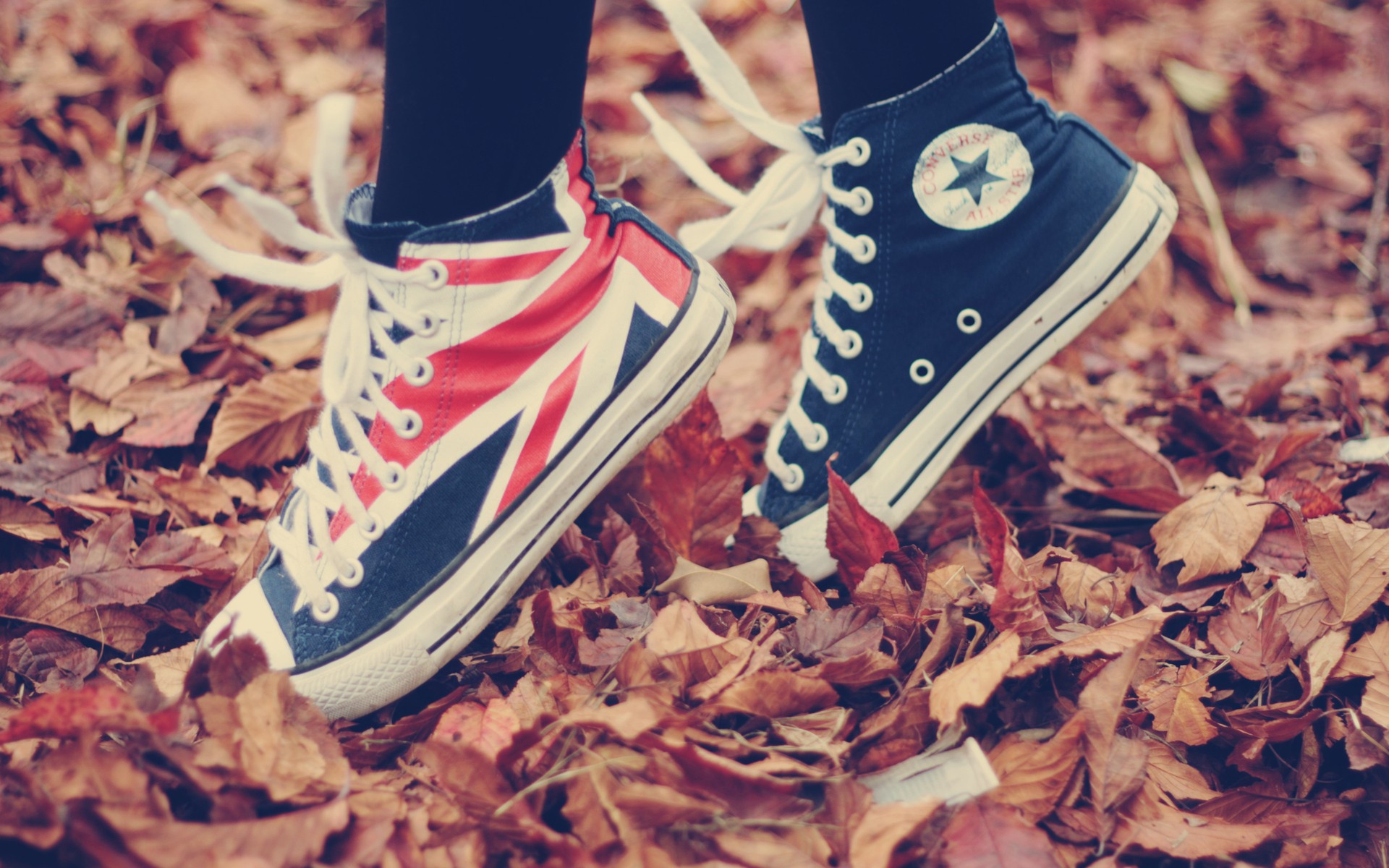 Fall All Star Fallen Leaves Converse Union Jack Shoes Leaves 1920x1200