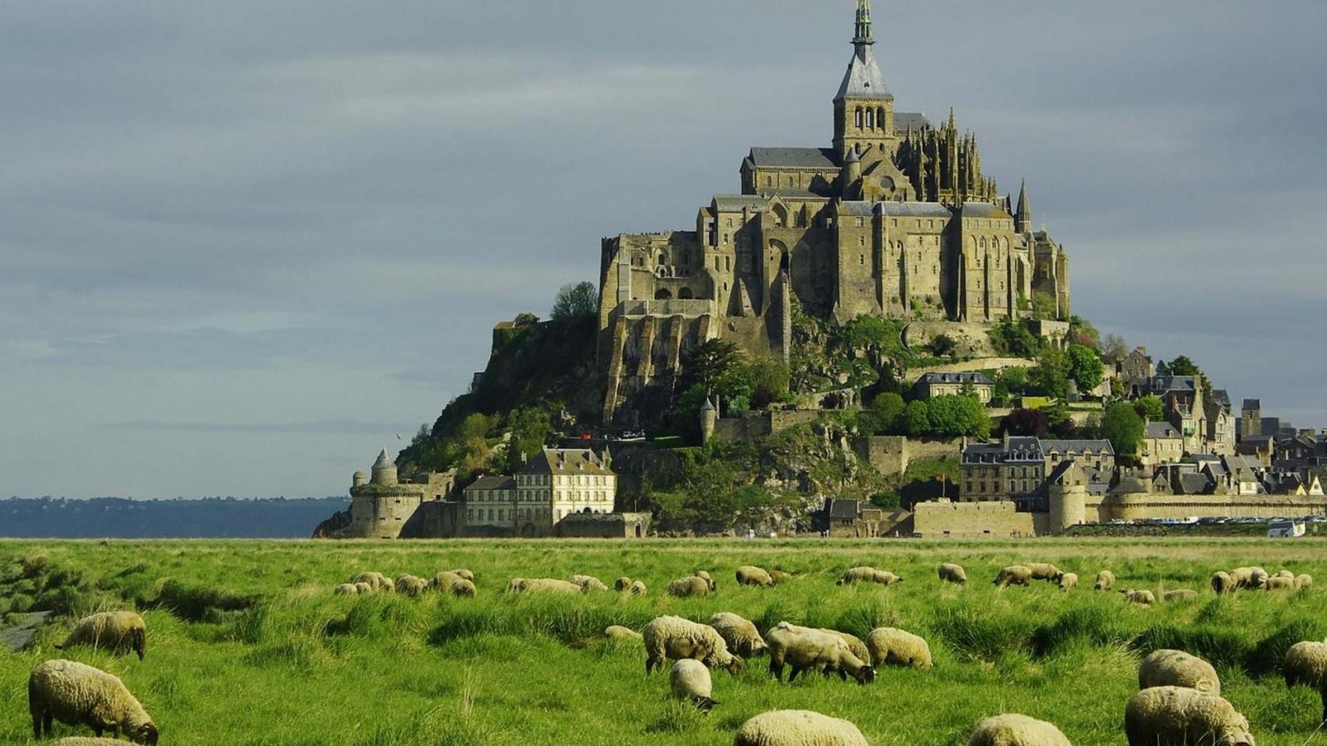 Mont Saint Michel Castle France Plains Sheep Old Building Building Landscape Abbey 1920x1080