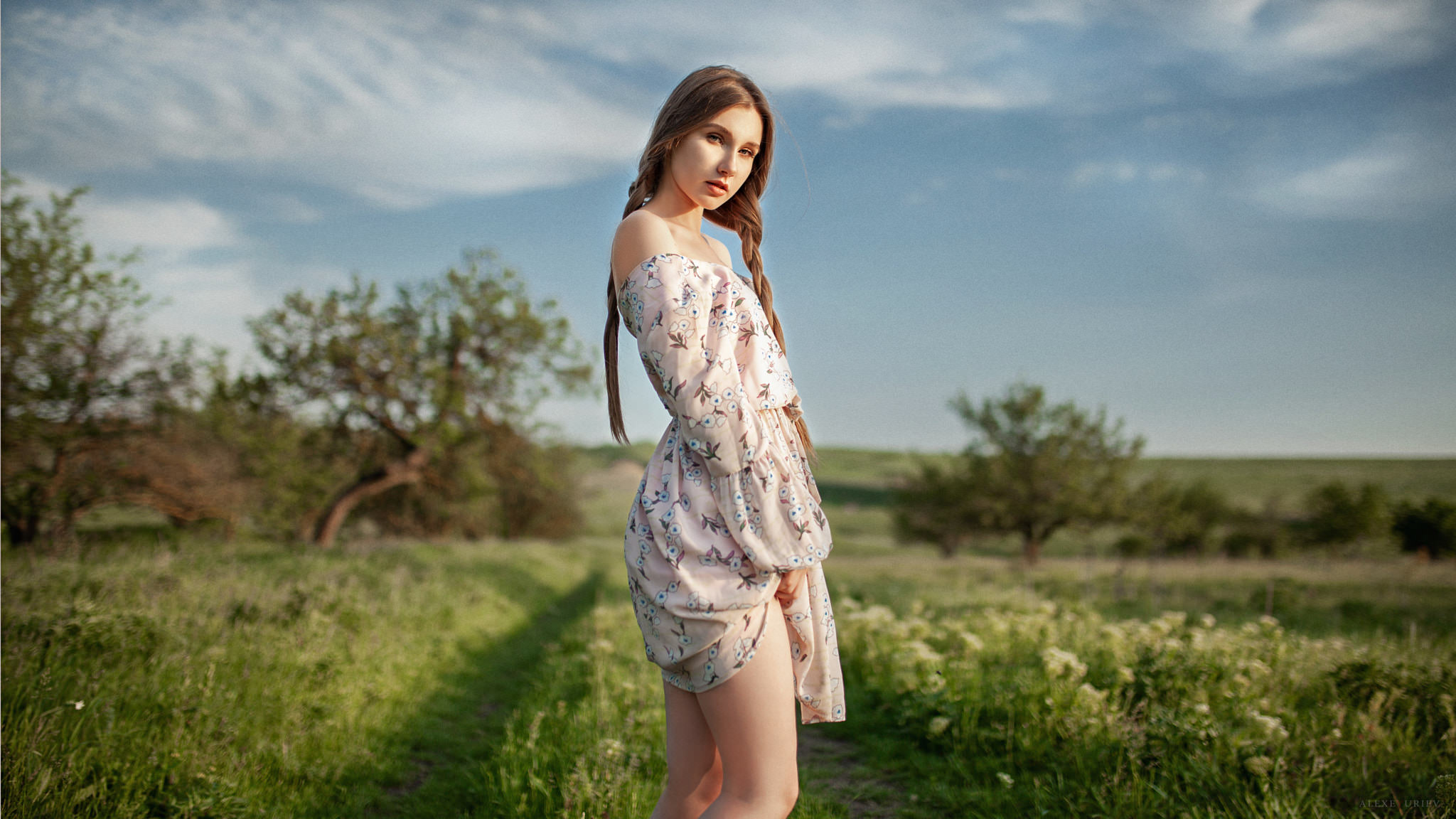 Women Diana Furmanova Dress Women Outdoors Long Hair Grass Pigtails Trees Alexey Yuryev 2048x1152