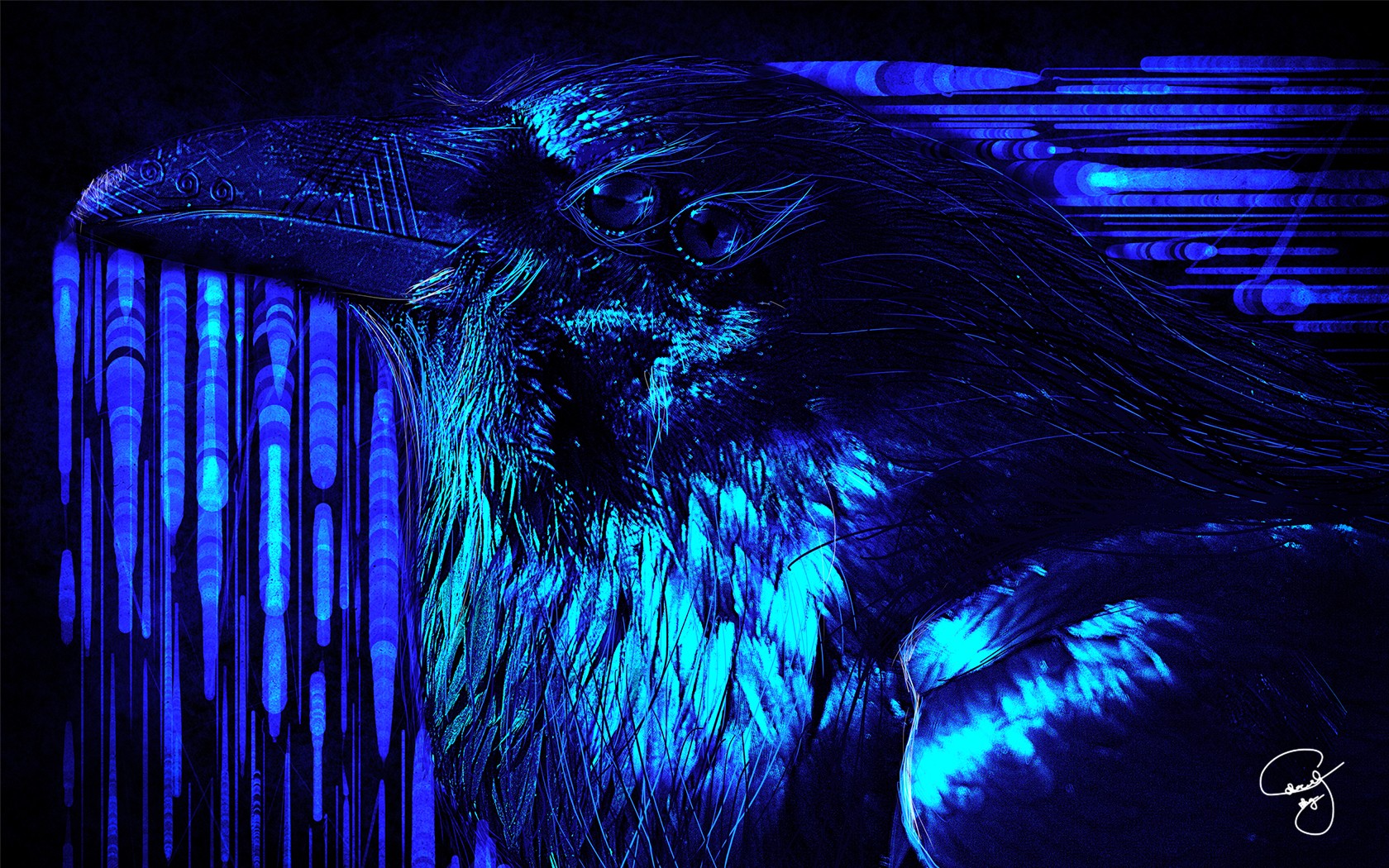 Crow Raven Dripping Paint 1680x1050
