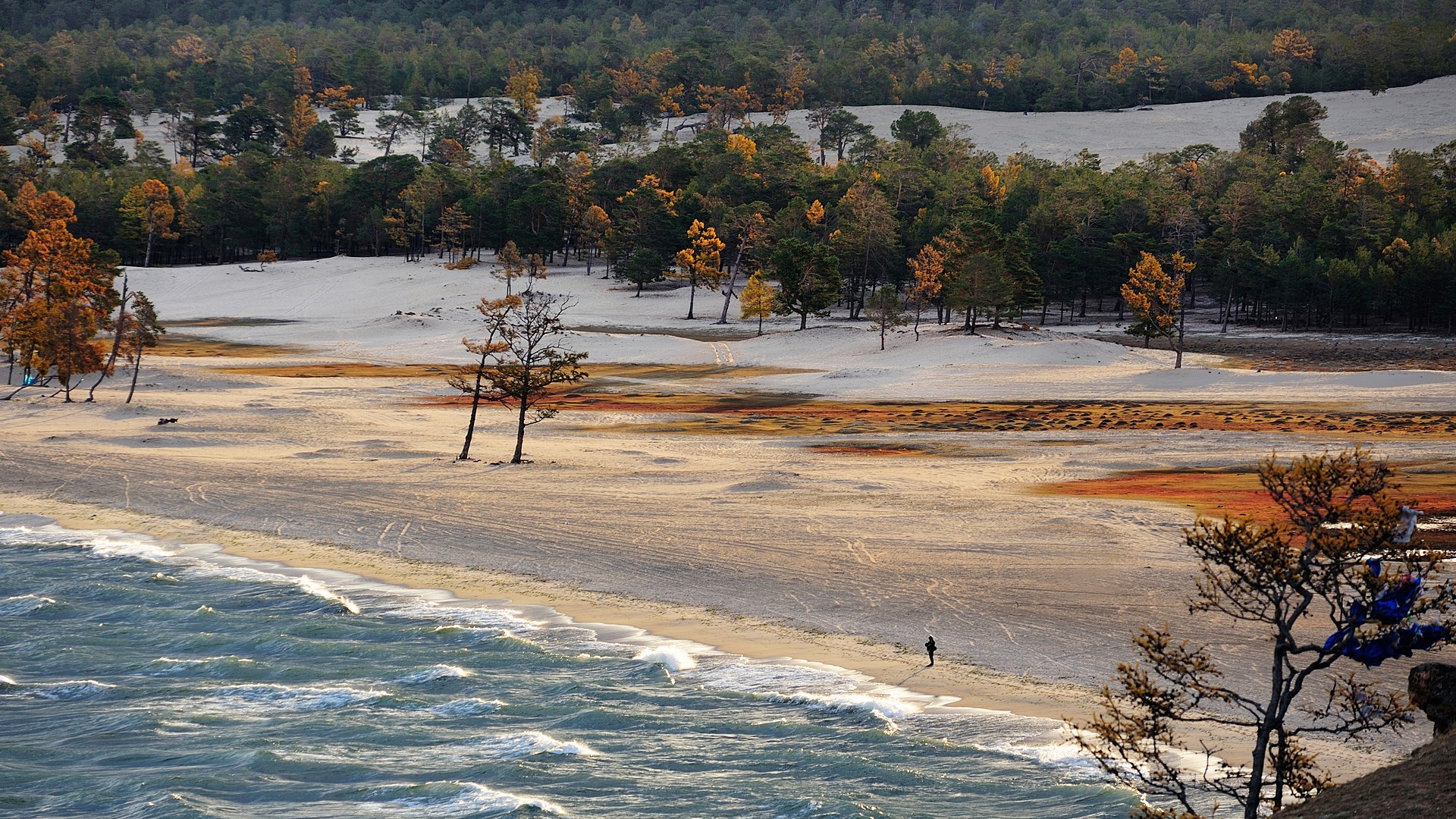 Nature Landscape Far View Trees Beach Sand Forest Water Waves Sea Fall Lake Baikal Russia 1920x1080