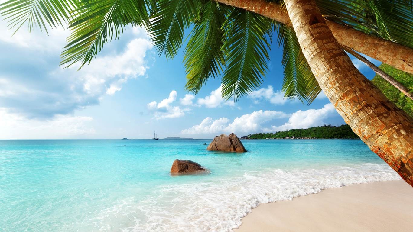 Seychelles Beach Sand Palm Trees Sea Tropical Tropical Summer Exotic Landscape Clouds 1366x768