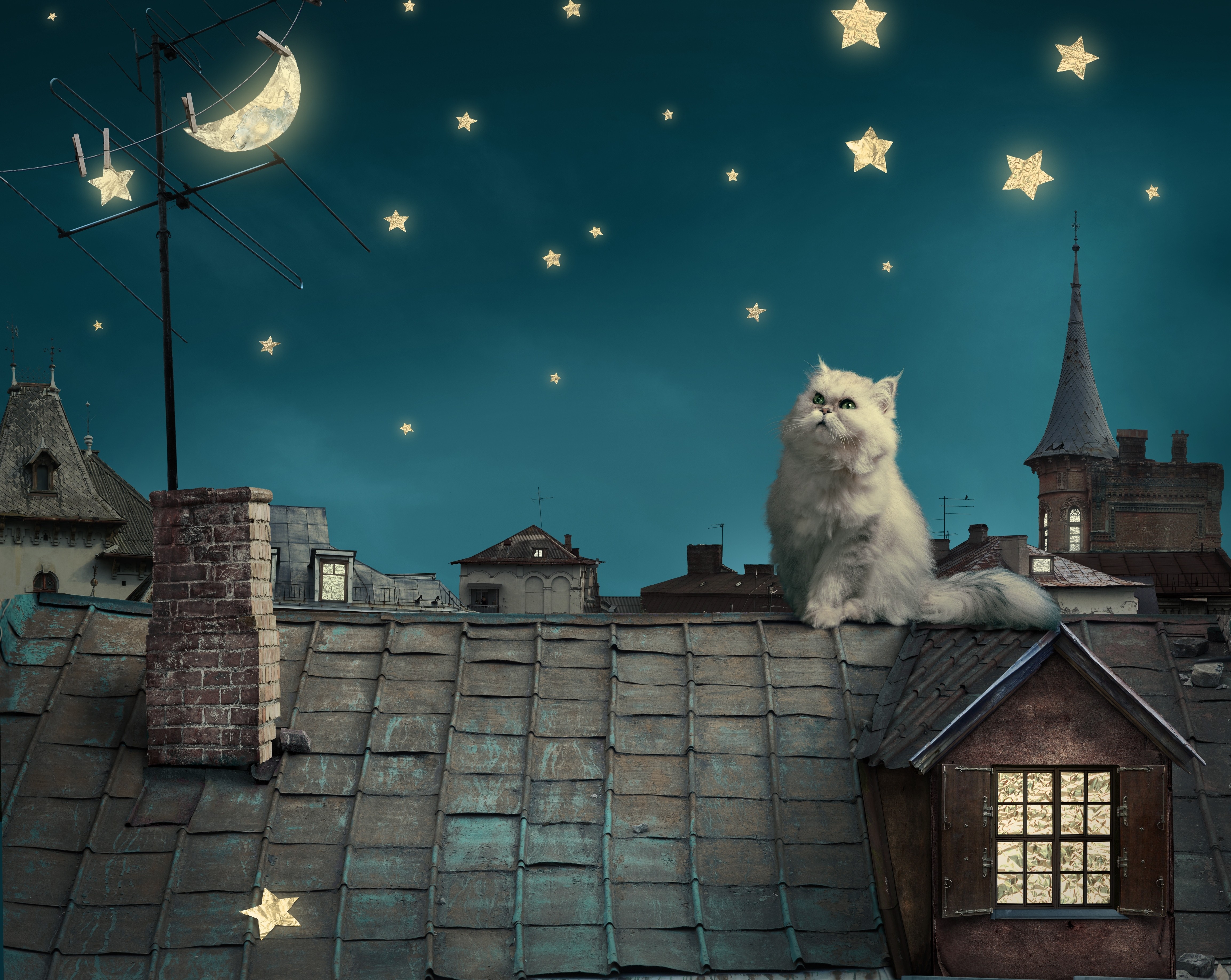 Animals Cats Stars Moon Crescent Moon House Rooftops Digital Art Persian Cat 4614x3671