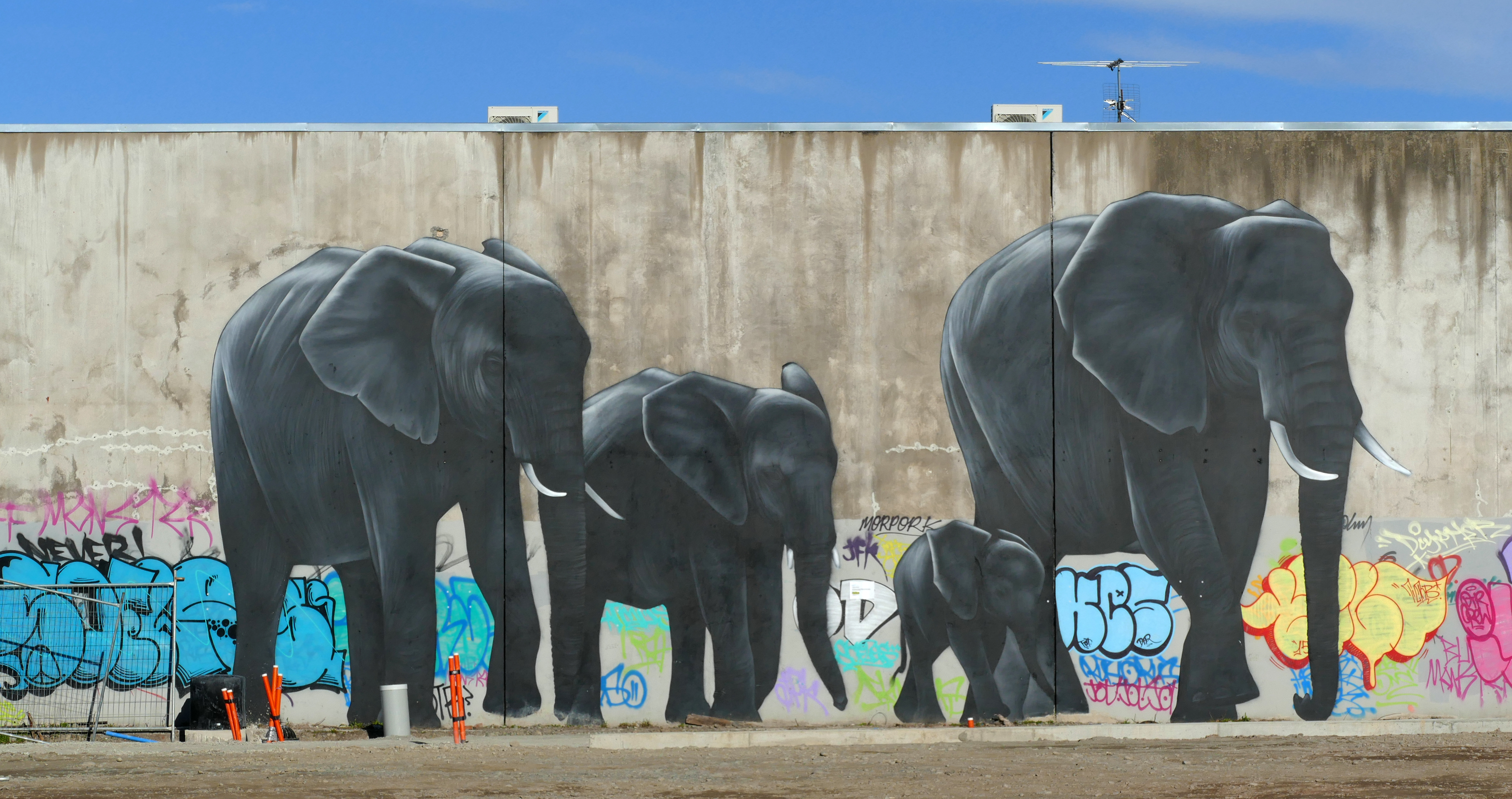Artistic Graffiti Elephant Wall Mural 4000x2114