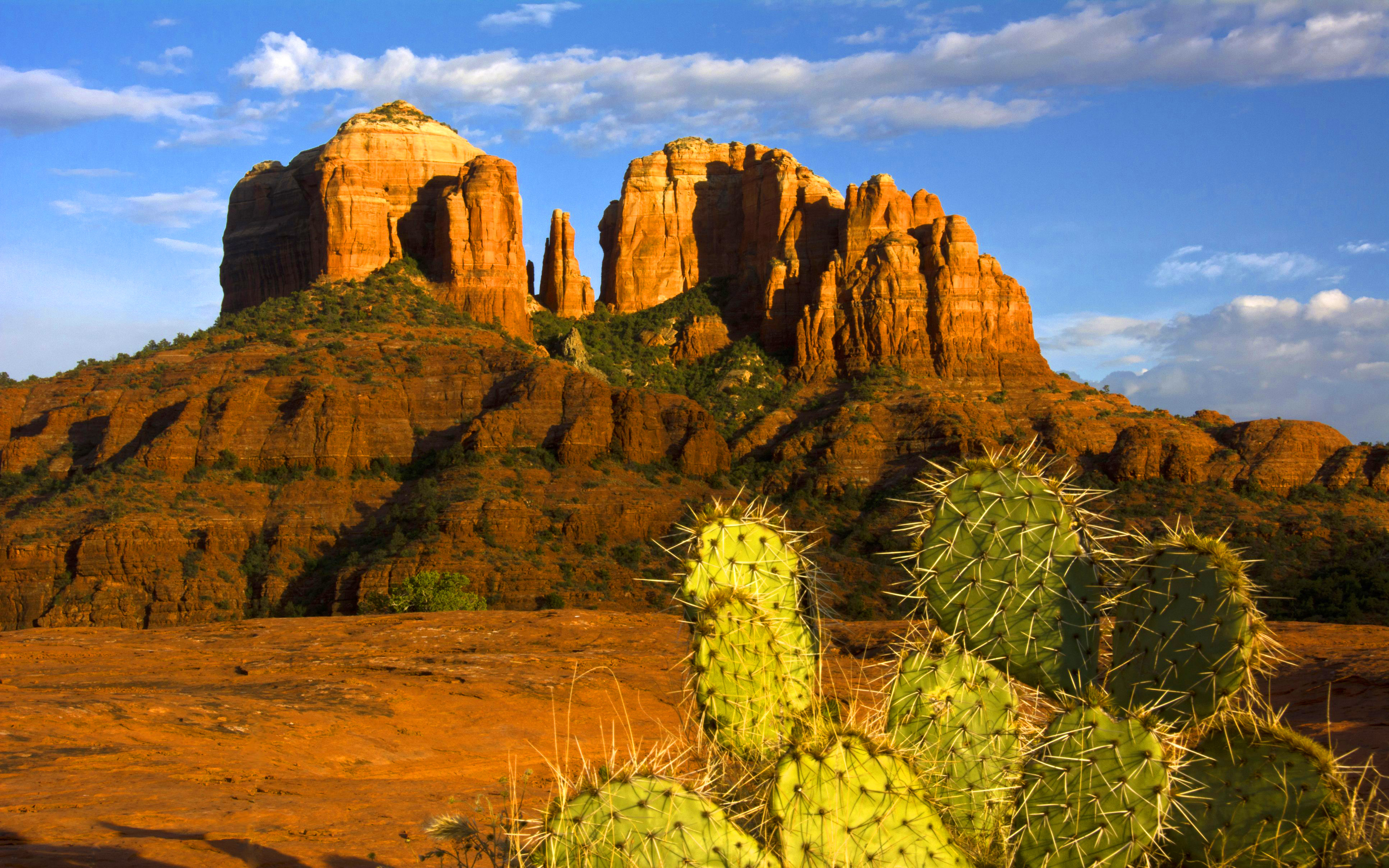 Desert Sedona Arizona Cactus Rock 3865x2416