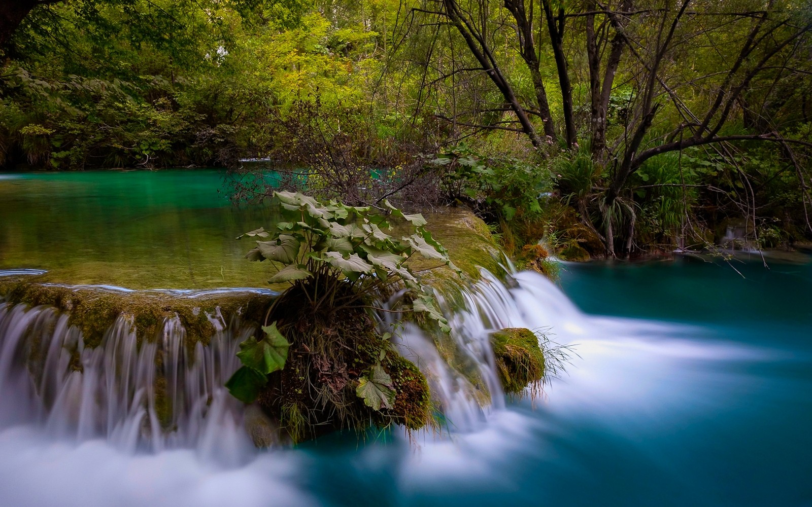 Nature Landscape Waterfall Long Exposure Forest Pond Shrubs Turquoise Trees Plitvice National Park C 1600x1000