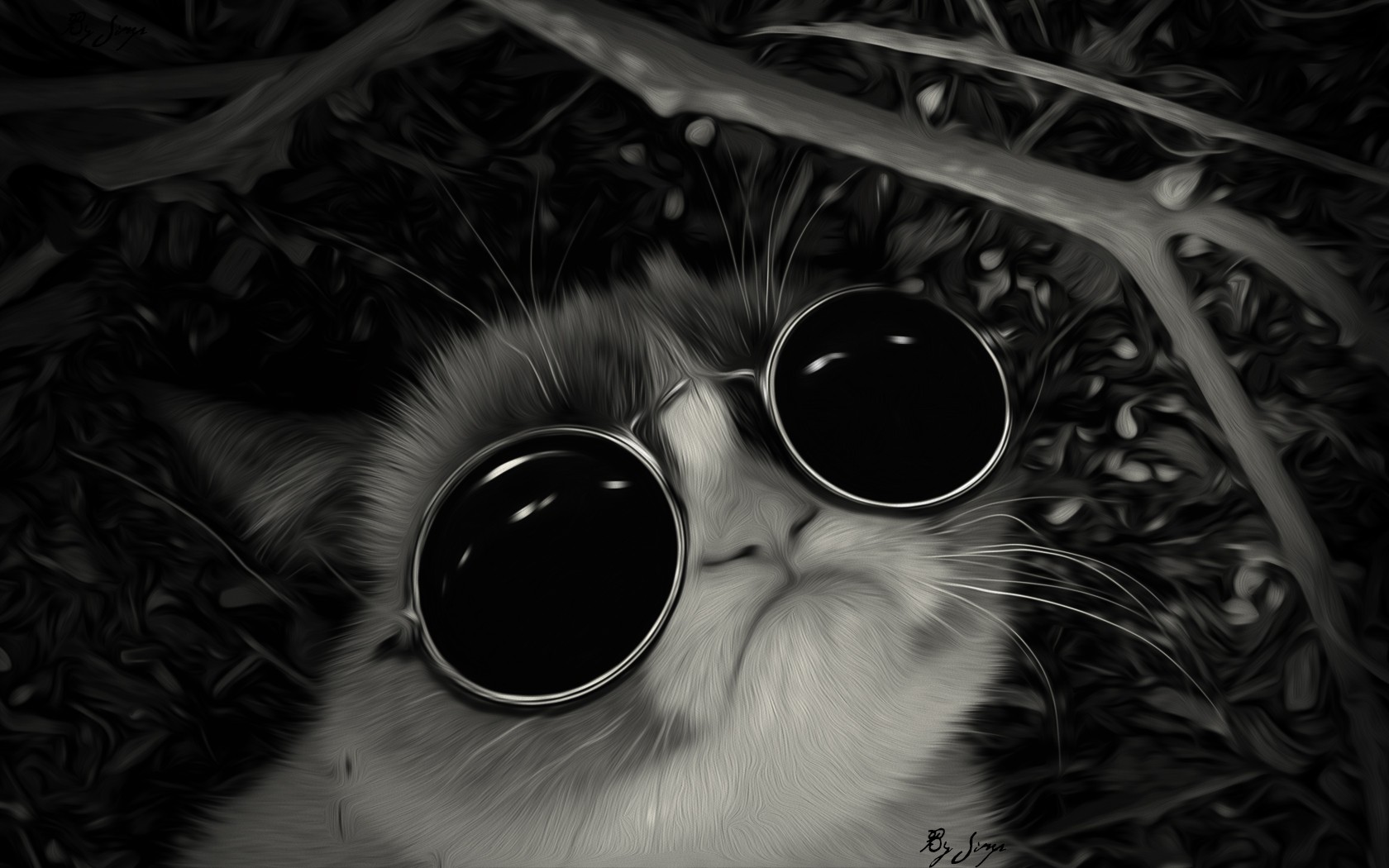 Grumpy Cat Cats Digital Art Animals Monochrome 1680x1050