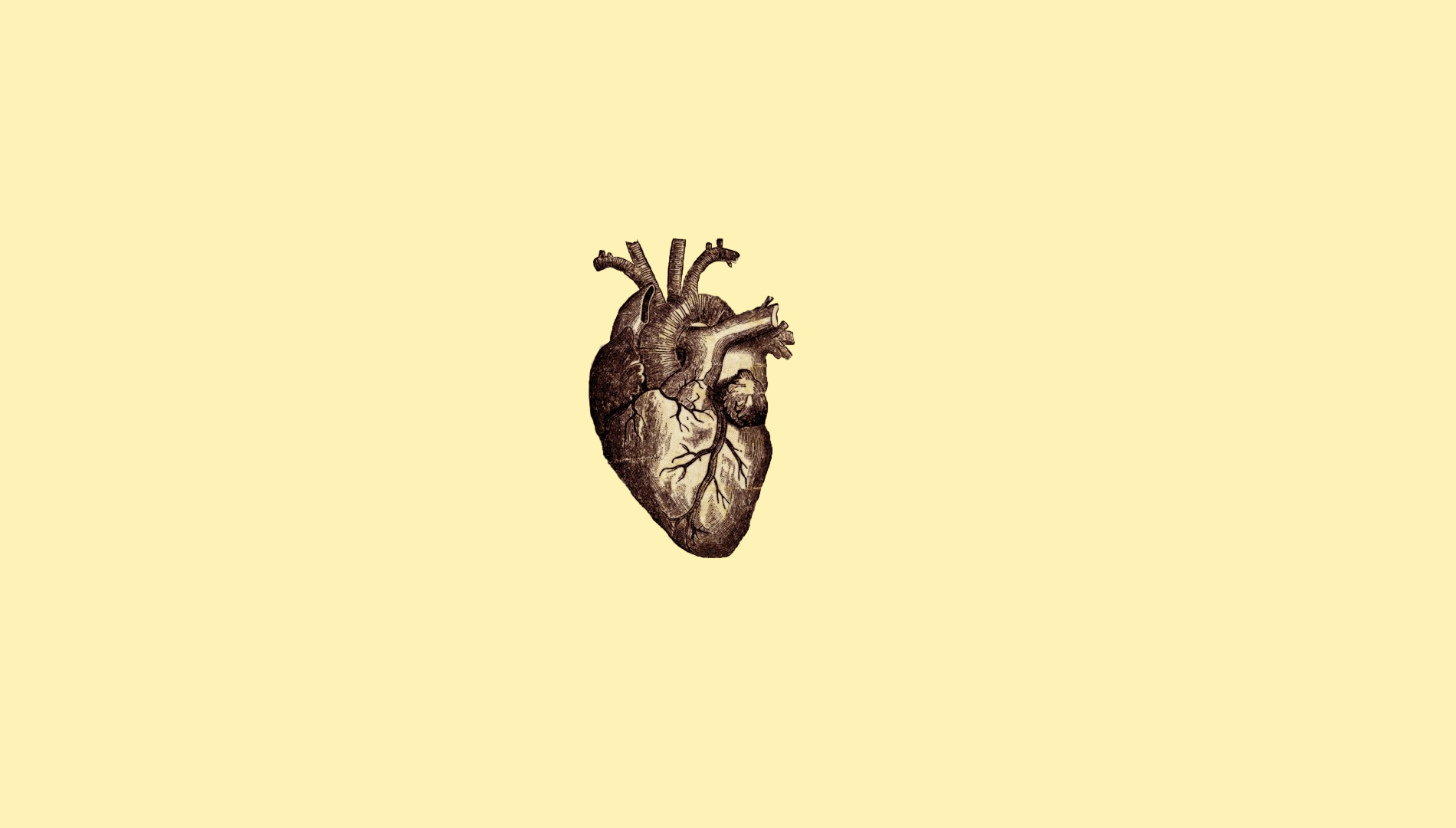 Digital Art Minimalism Simple Simple Background Drawing Anatomy Heart Veins Medicine 1900x1080