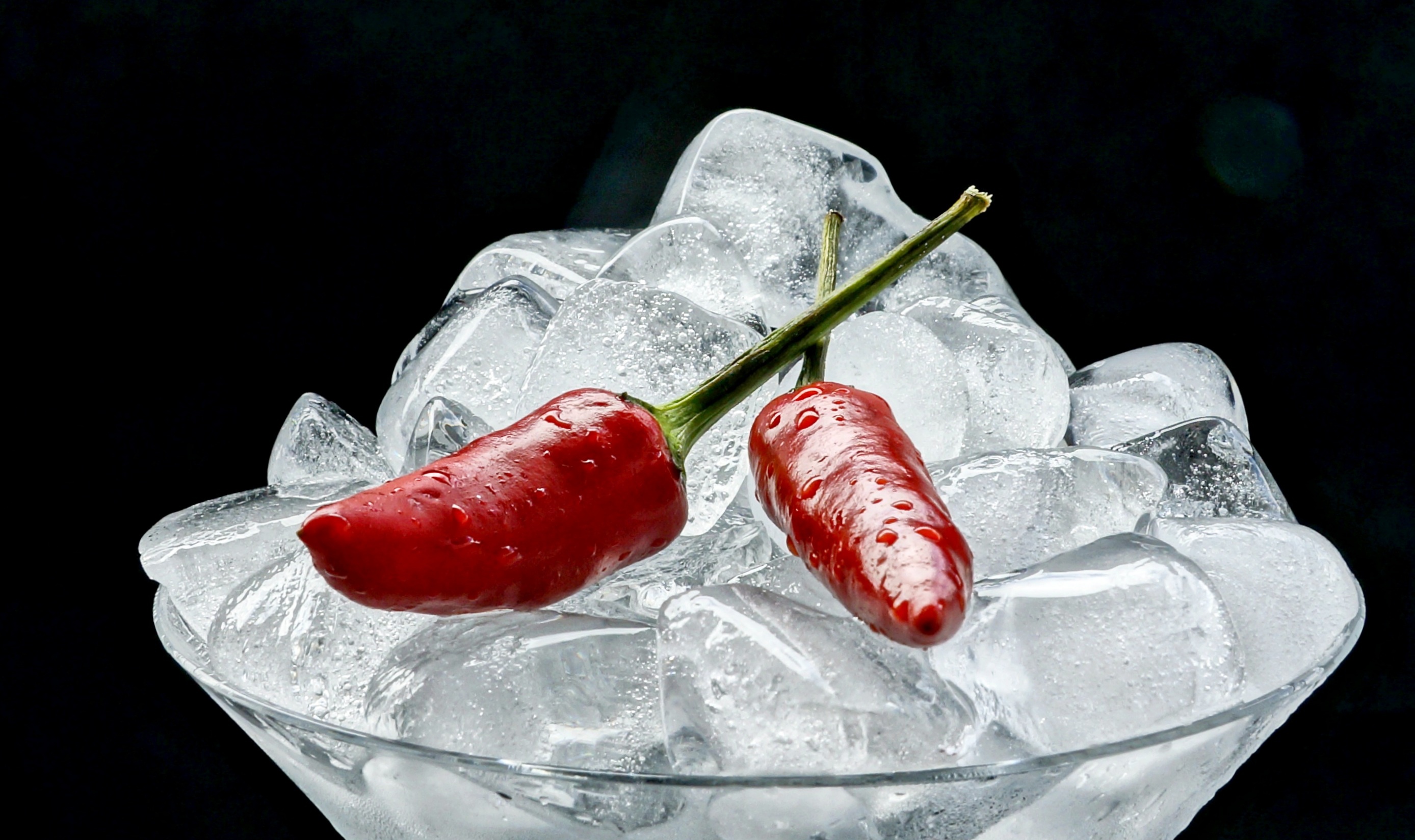Ice Food Chilli Peppers 2776x1648