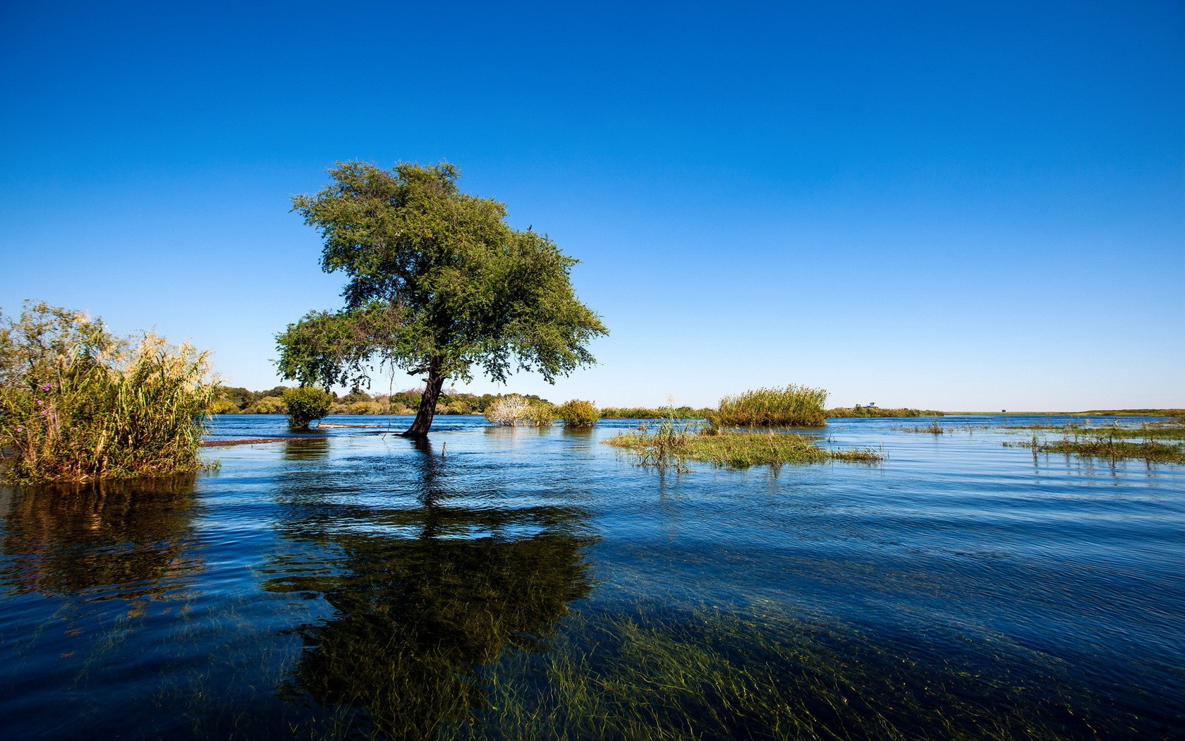 Africa Nature Landscape Flood Water Clear Sky Trees 1680x1050