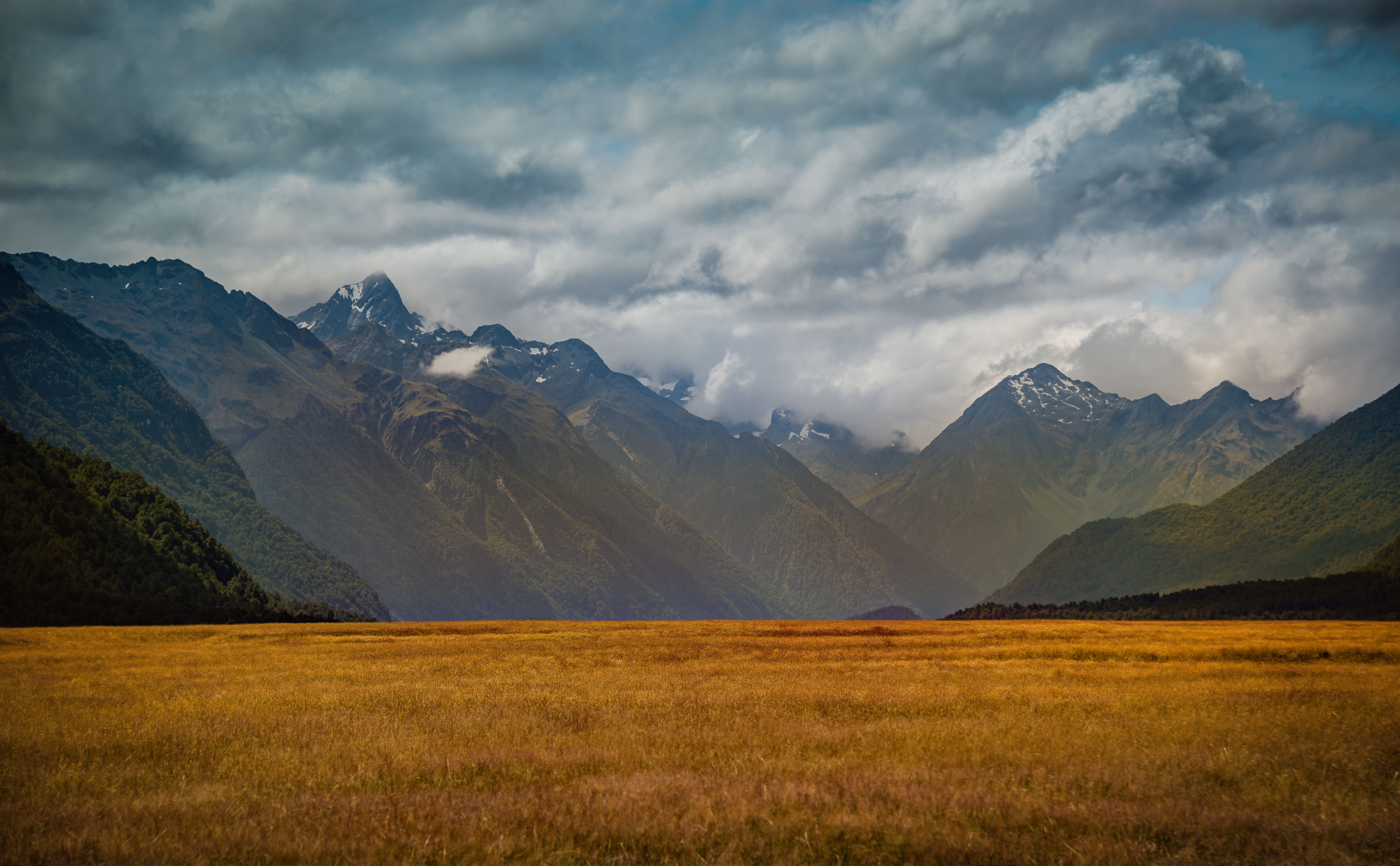 Valley Mountain Milford Sound South Island New Zealand New Zealand Southern Alps 7156x4429