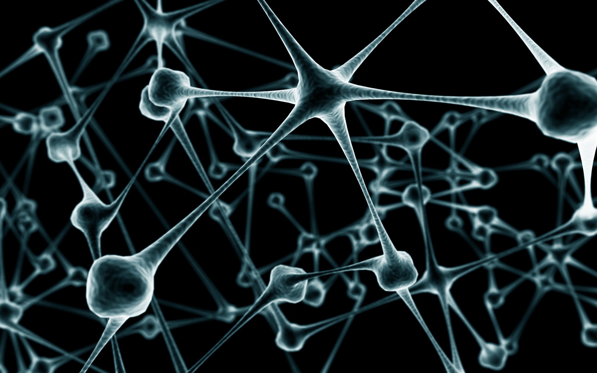 Abstract Black Fractal 3D Neurons Digital Art Science 1920x1200