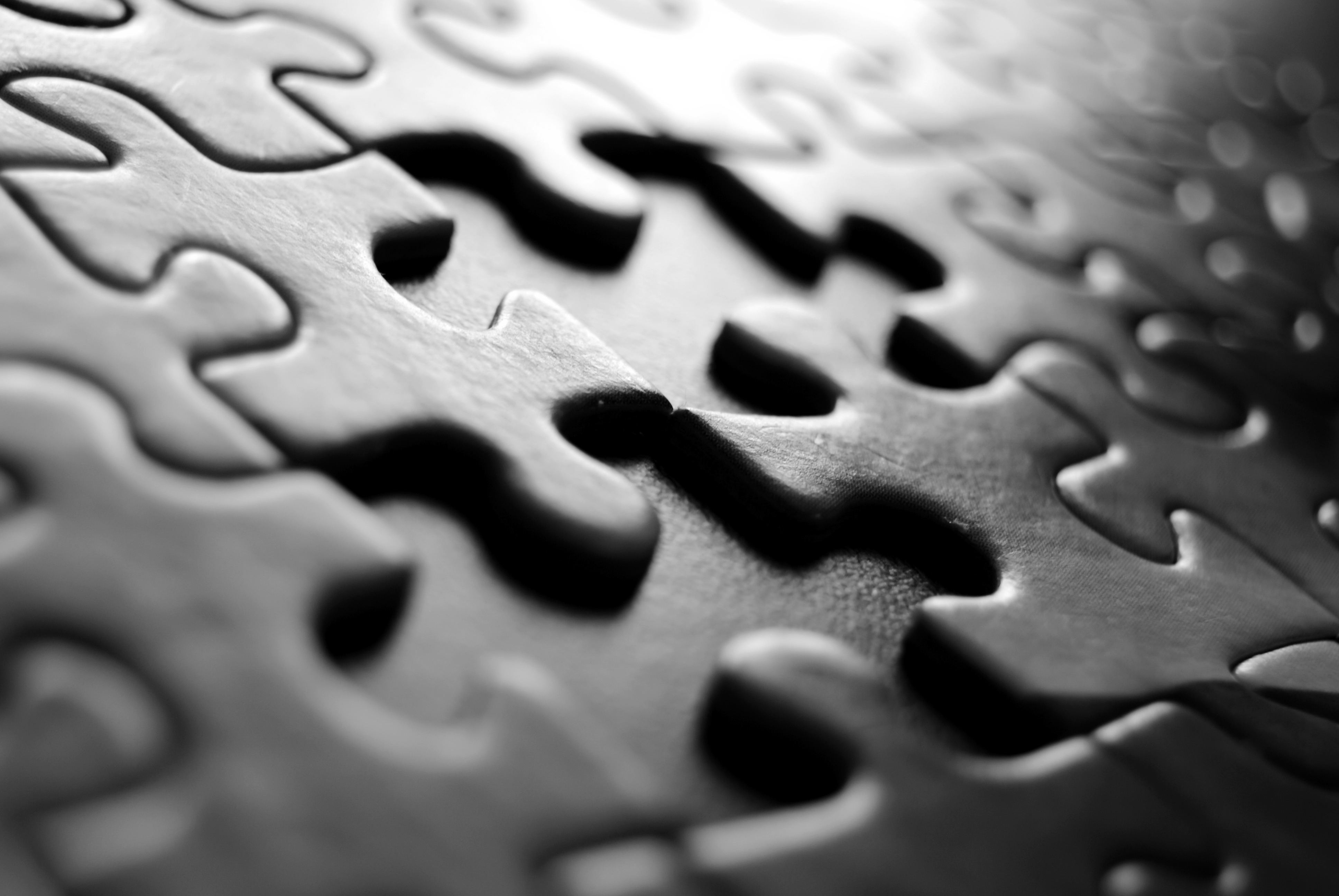 Puzzle Macro 3872x2592