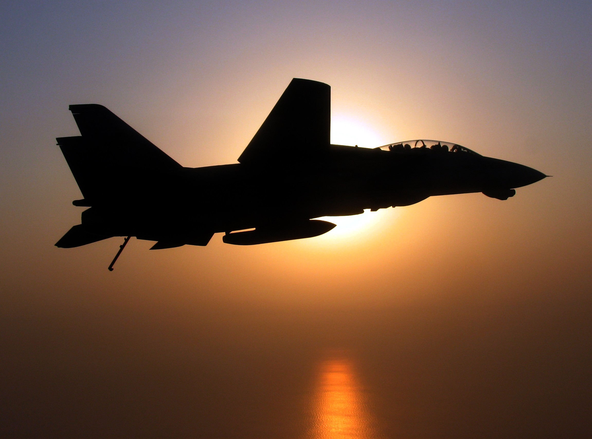 F 14 Tomcat Military Aircraft Military Jet Fighter Silhouette 2302x1710