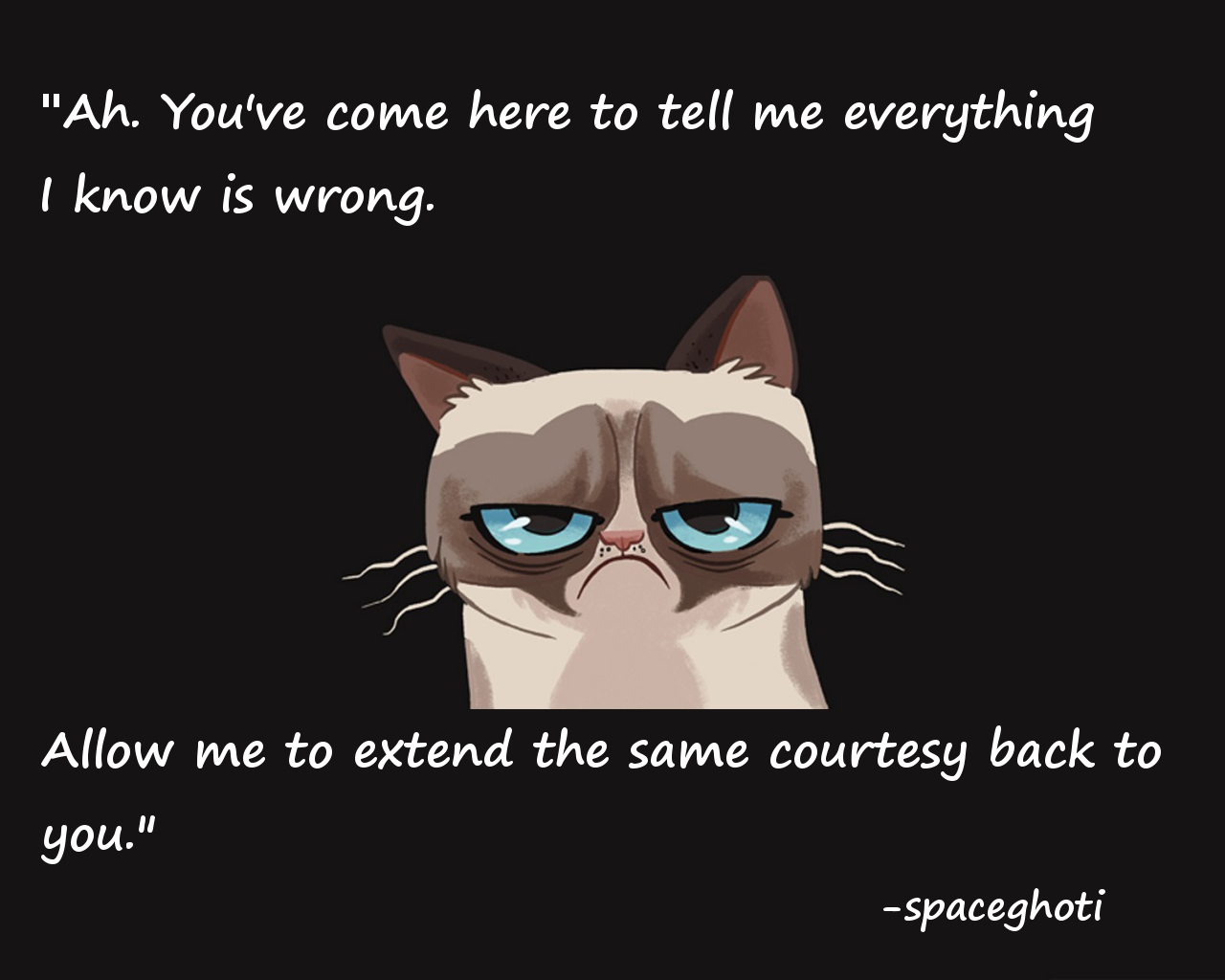Grumpy Cat Quote Dark Artwork Cats Animals Humor 1280x1024