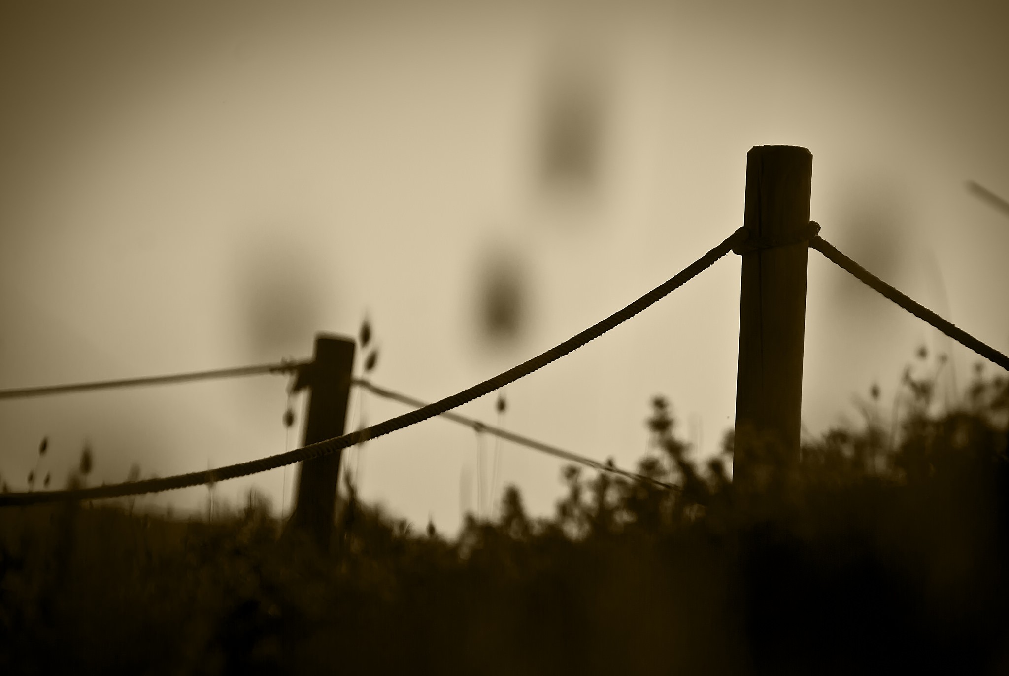 Photography Nature Fence Wood Grass Plants Sepia Cords Blurred 2048x1371