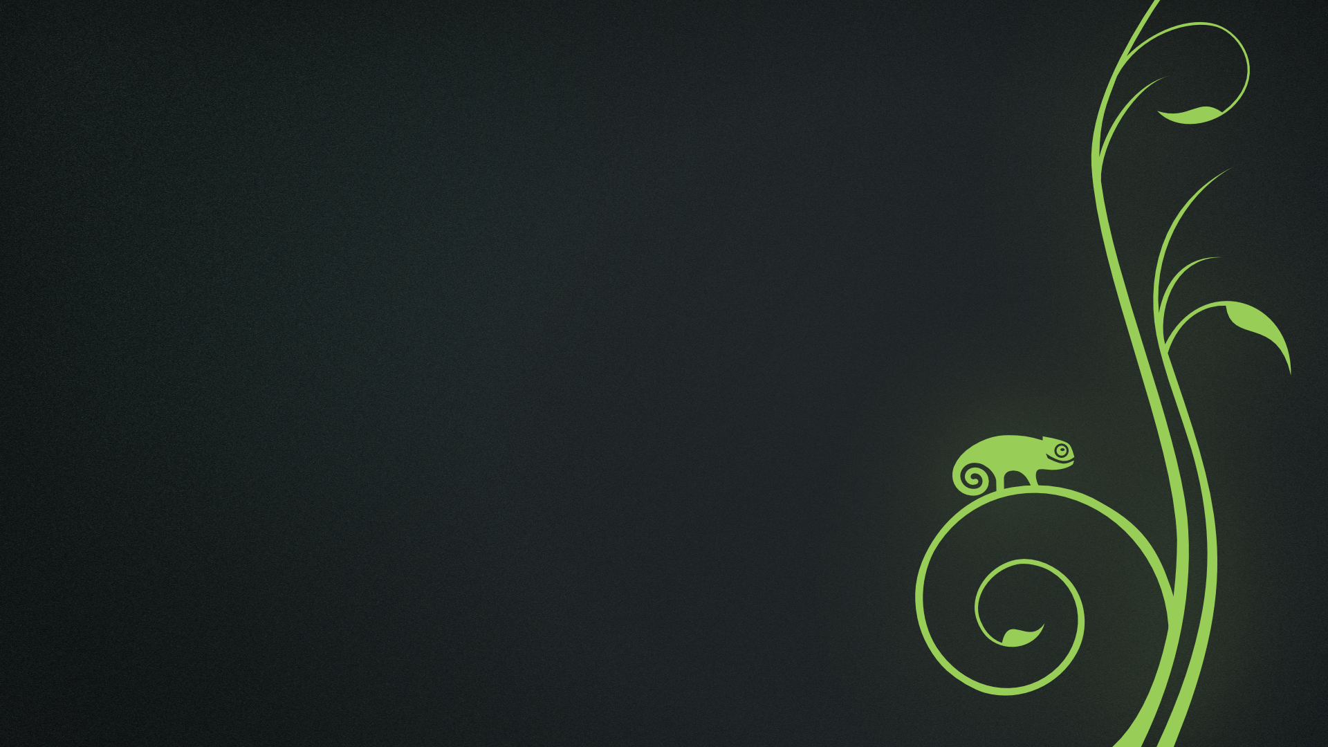 OpenSUSE Simple Background 1920x1080