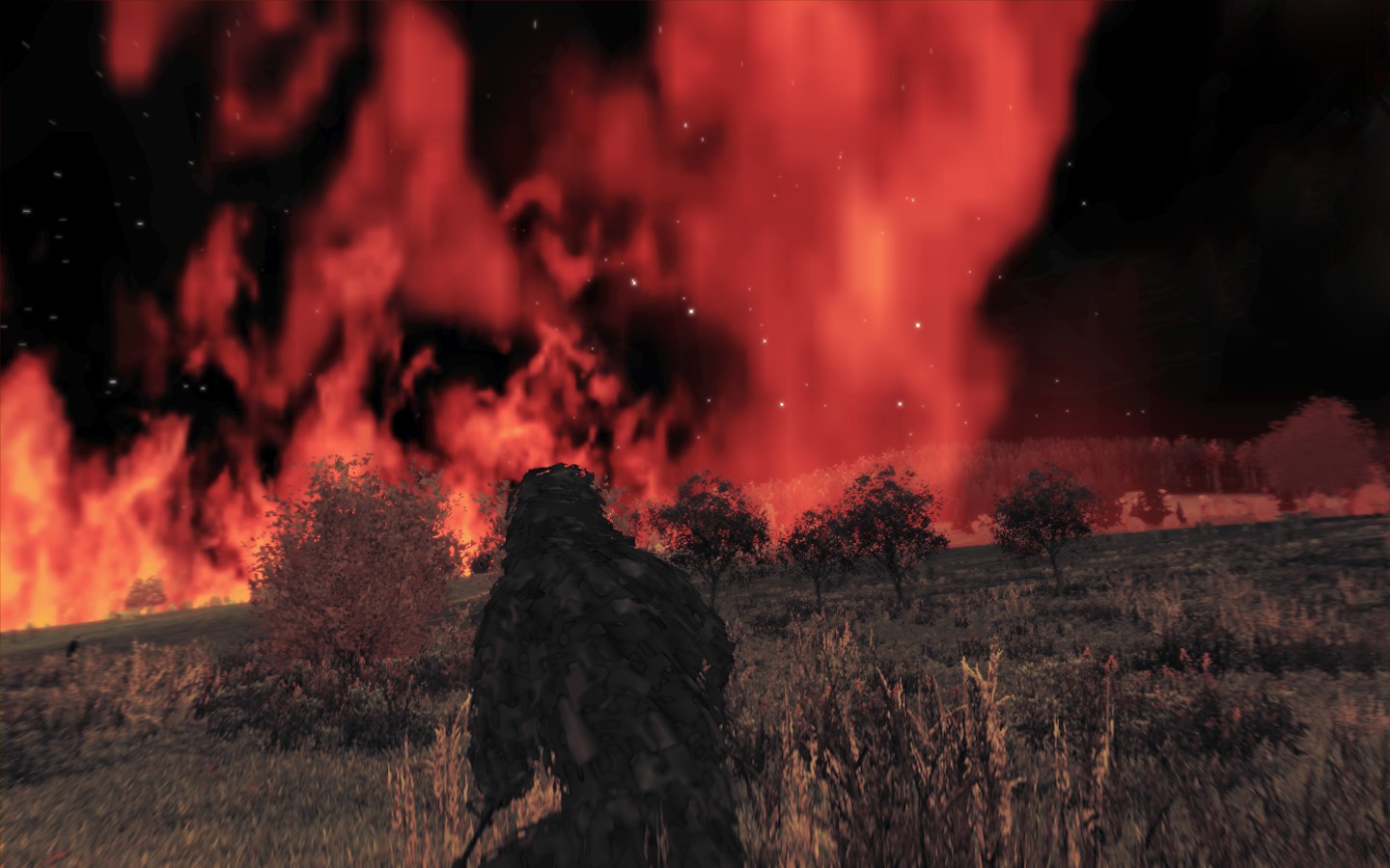 DayZ Arma 2 Arma Ii Steam Software Video Games Fire Forest Night Screen Shot 1440x900