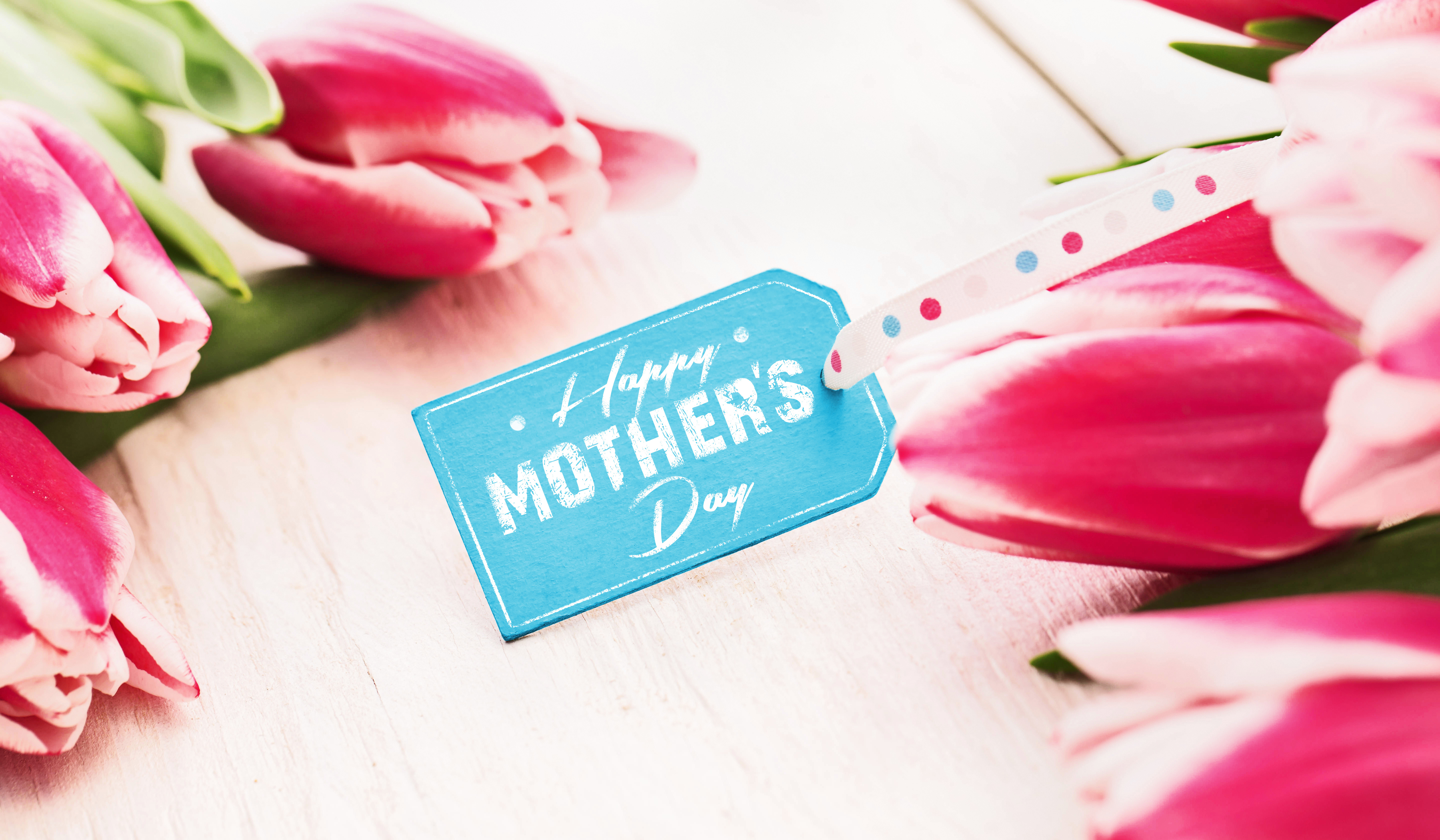 Mothers Day Flower Pink Flower Tulip 5760x3359