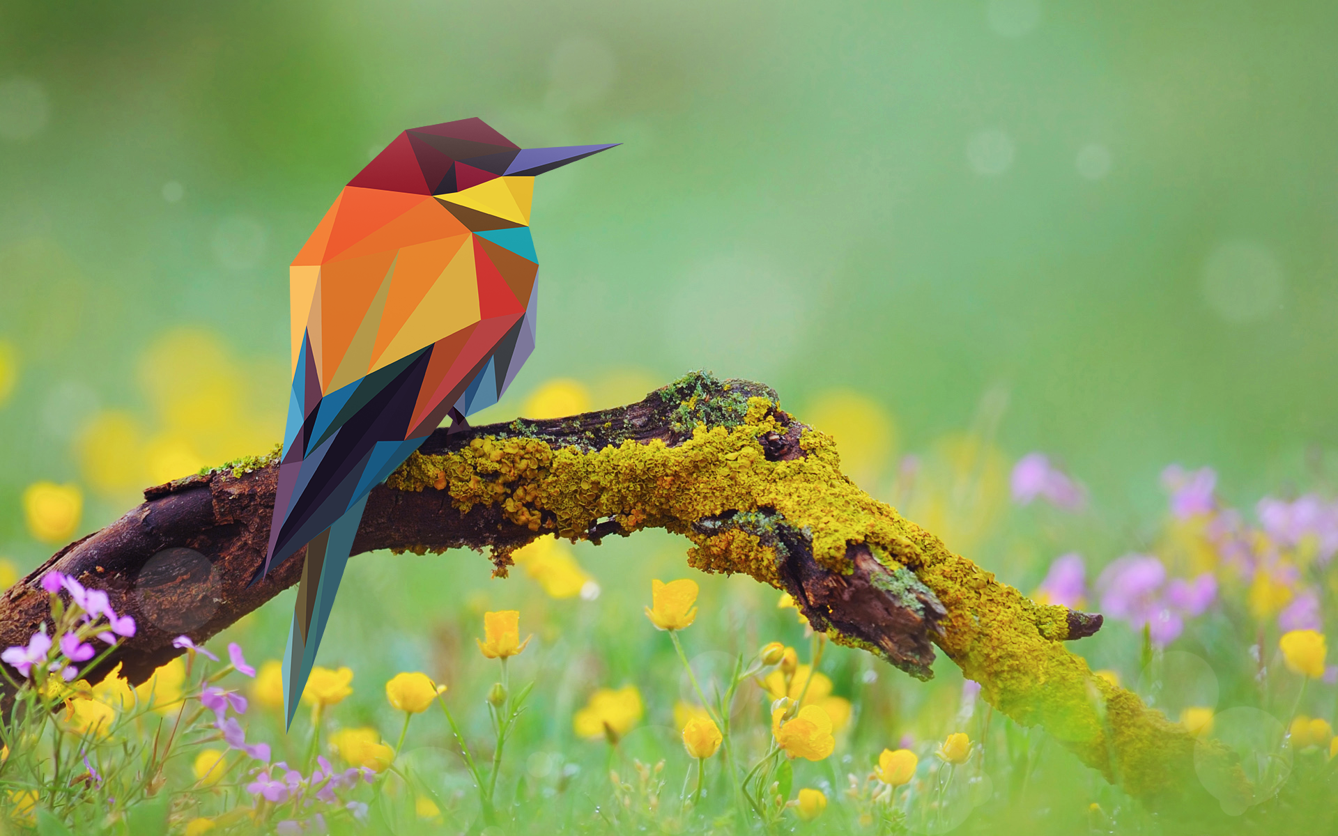 Bee Eaters Birds Branch Moss Flowers Low Poly Low Poly Abstract Birds 1920x1200