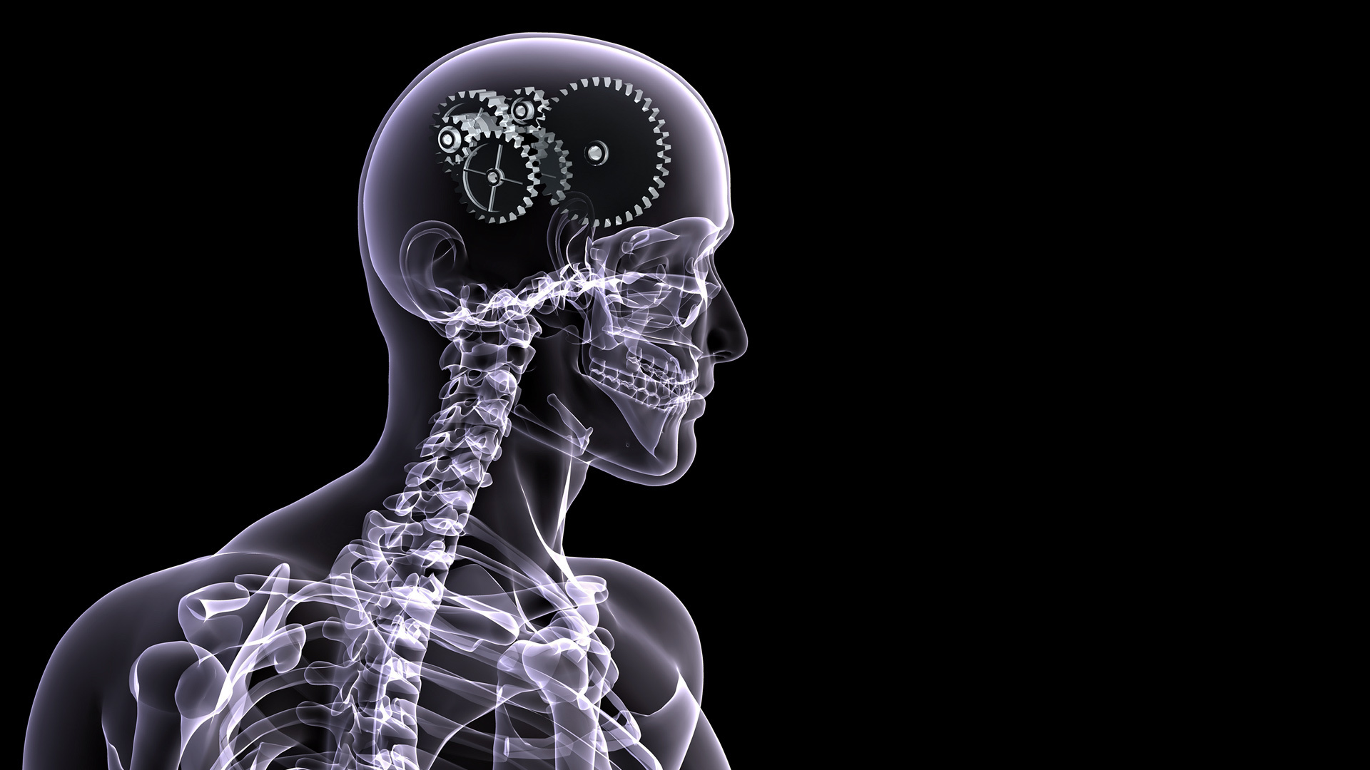Man Brain Skeleton X Ray 1920x1080