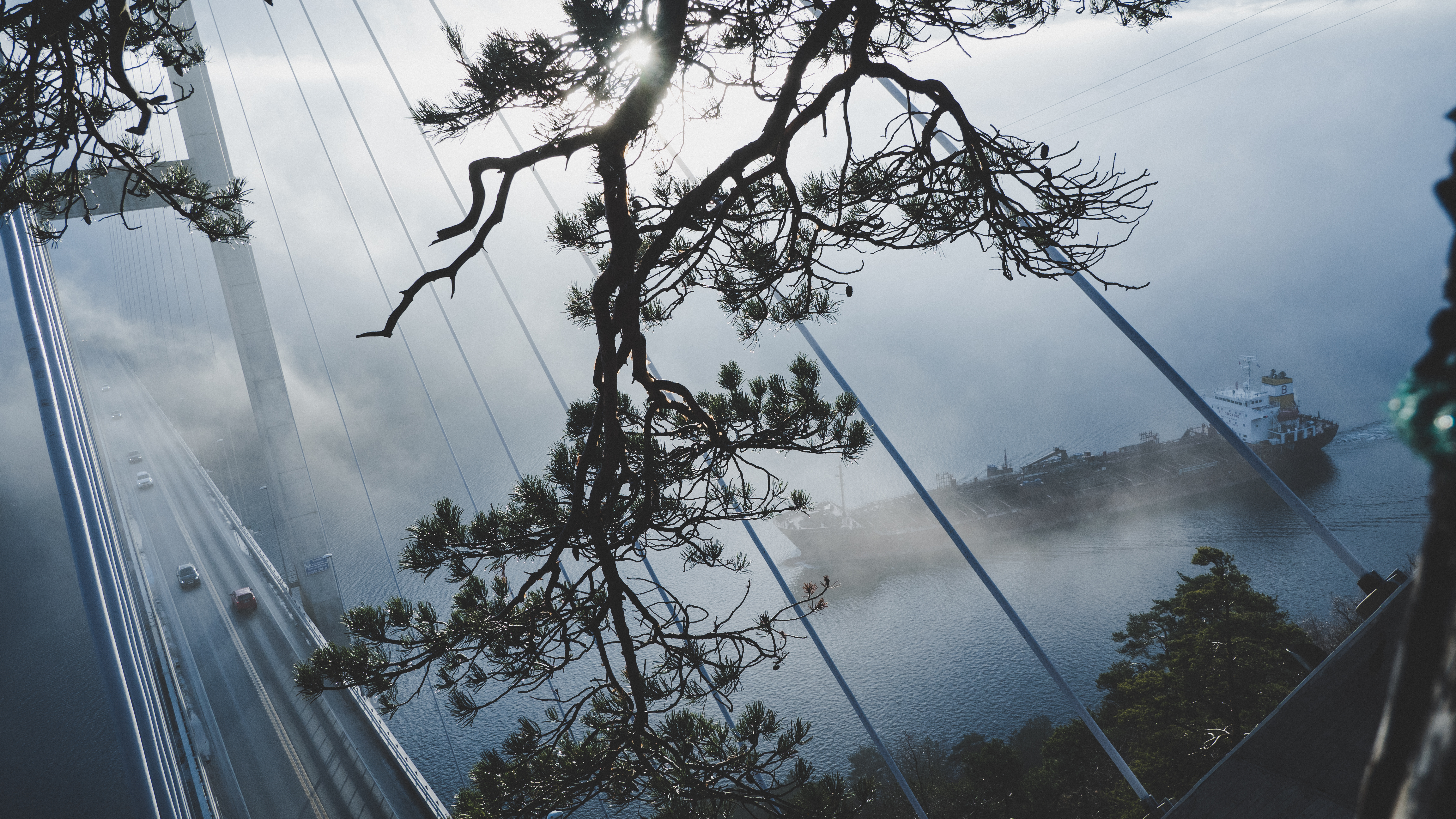 Boat Fog Bridge Tanker 4608x2592