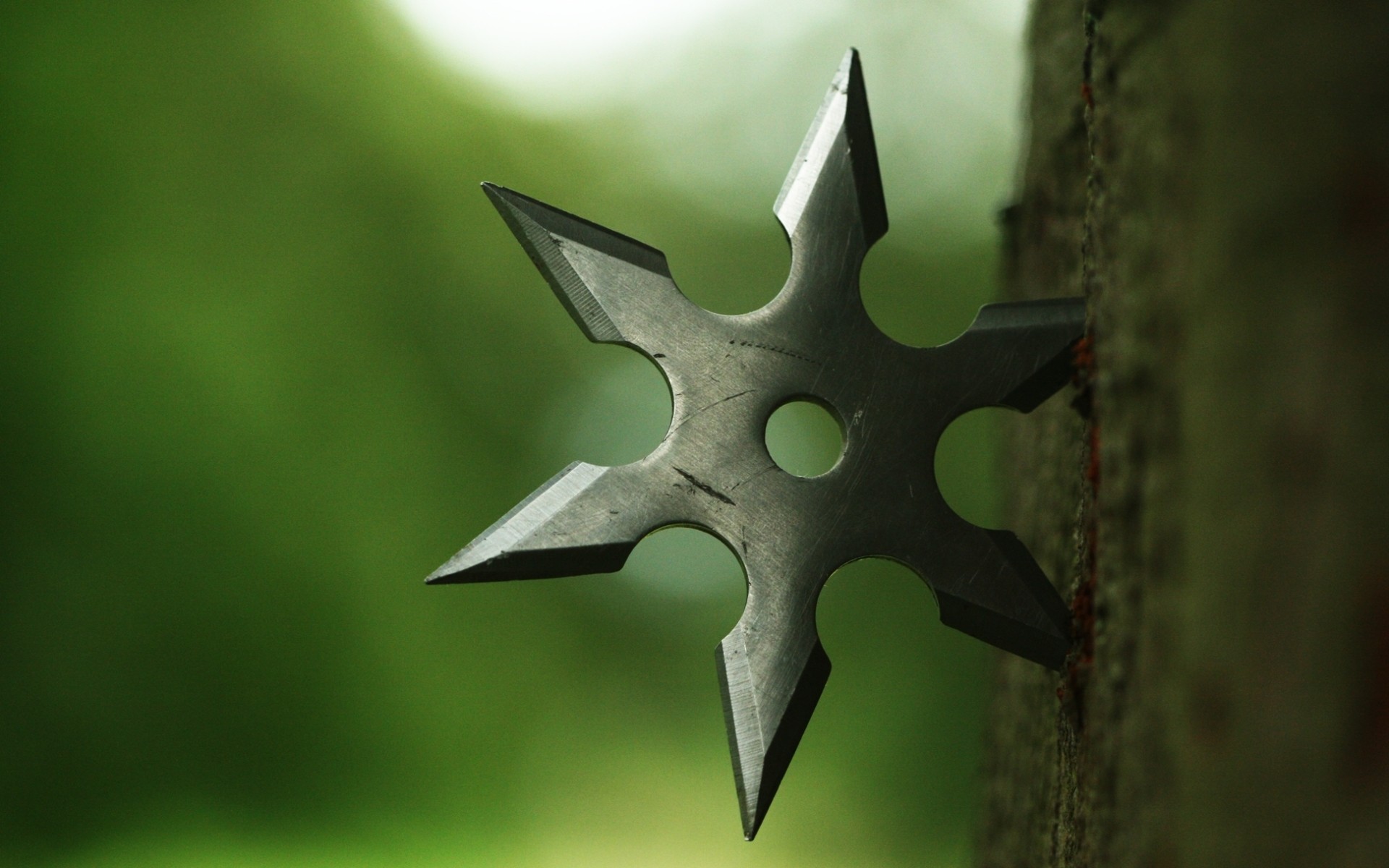 Shuriken Wood Depth Of Field Metal Closeup Macro Nature 1920x1200