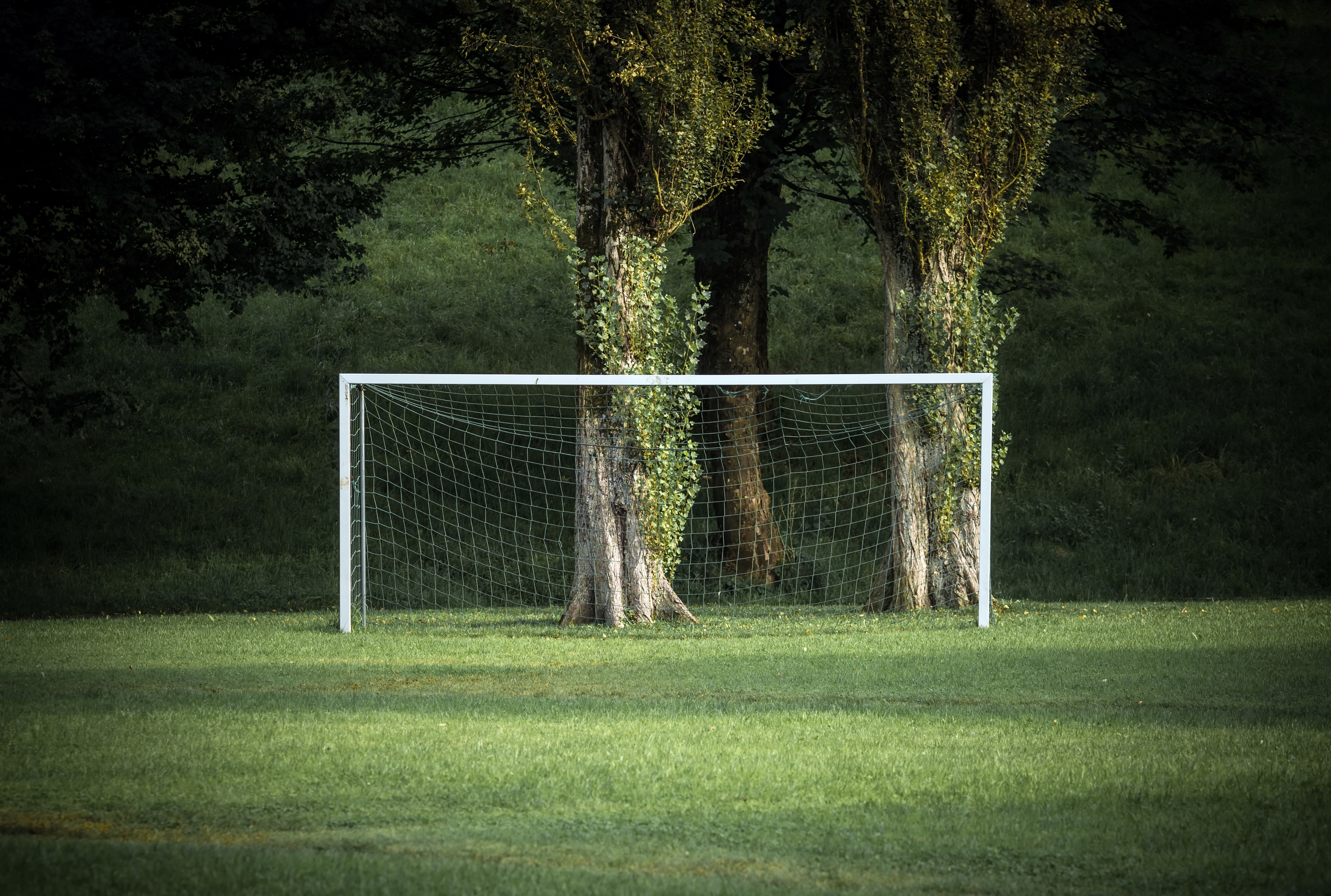 Grass Green Trees Sport Soccer Field Goal 4709x3173