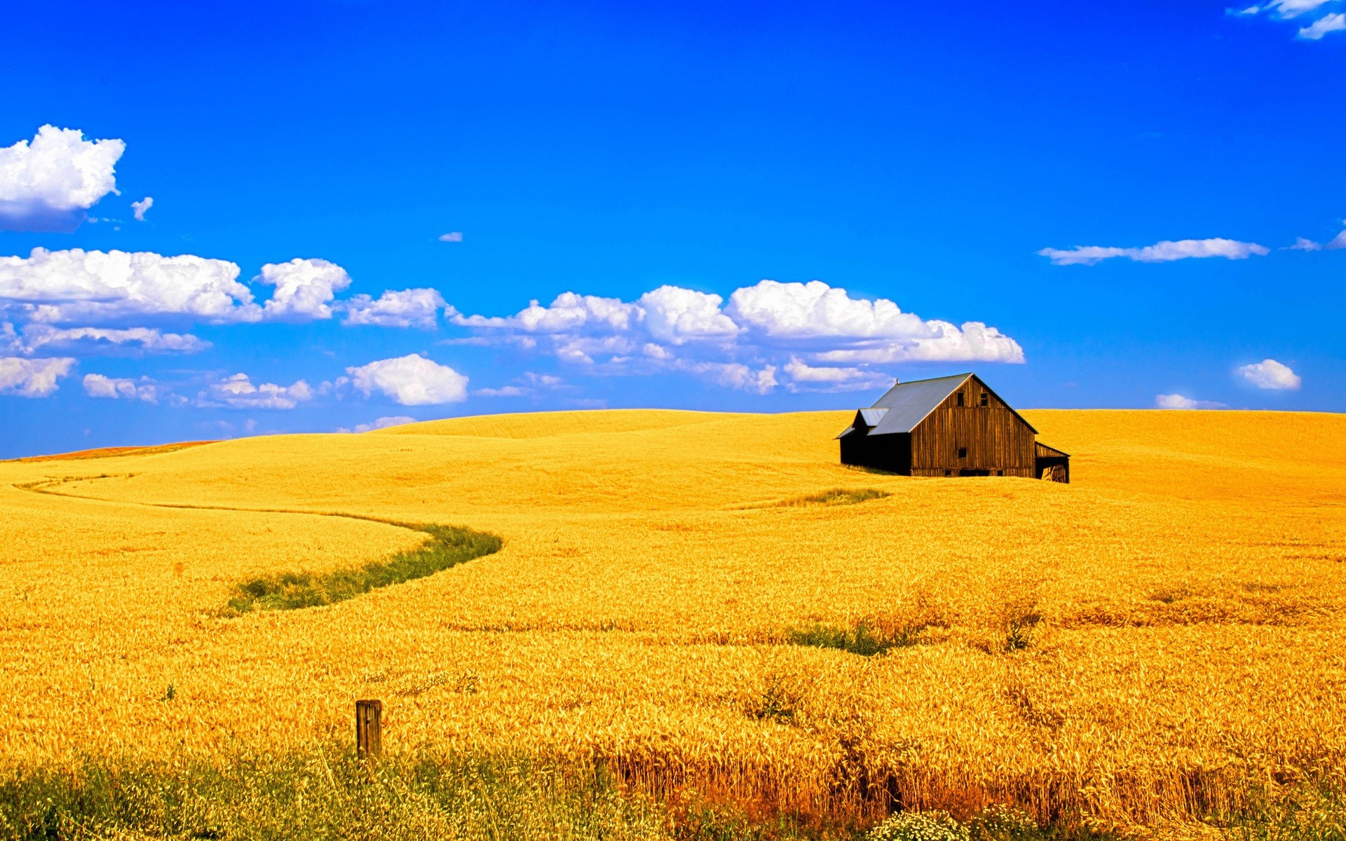 Landscape Wheat Field Barn Crops Yellow Clouds 1920x1200