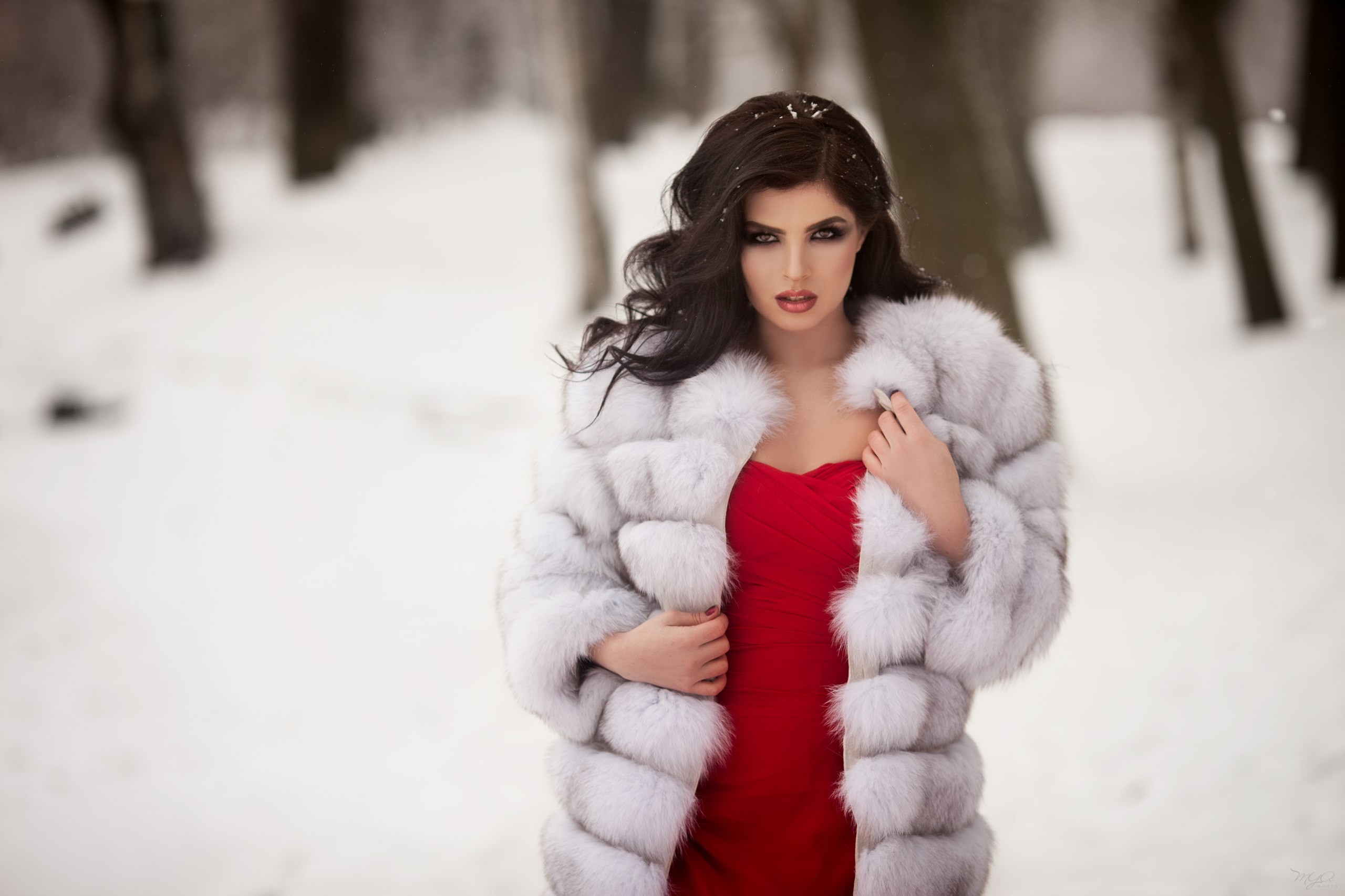 Maria Lelechenko Women Fur Coats Fur Portrait Red Dress Snow Depth Of Field Women Outdoors Painted N 2560x1707